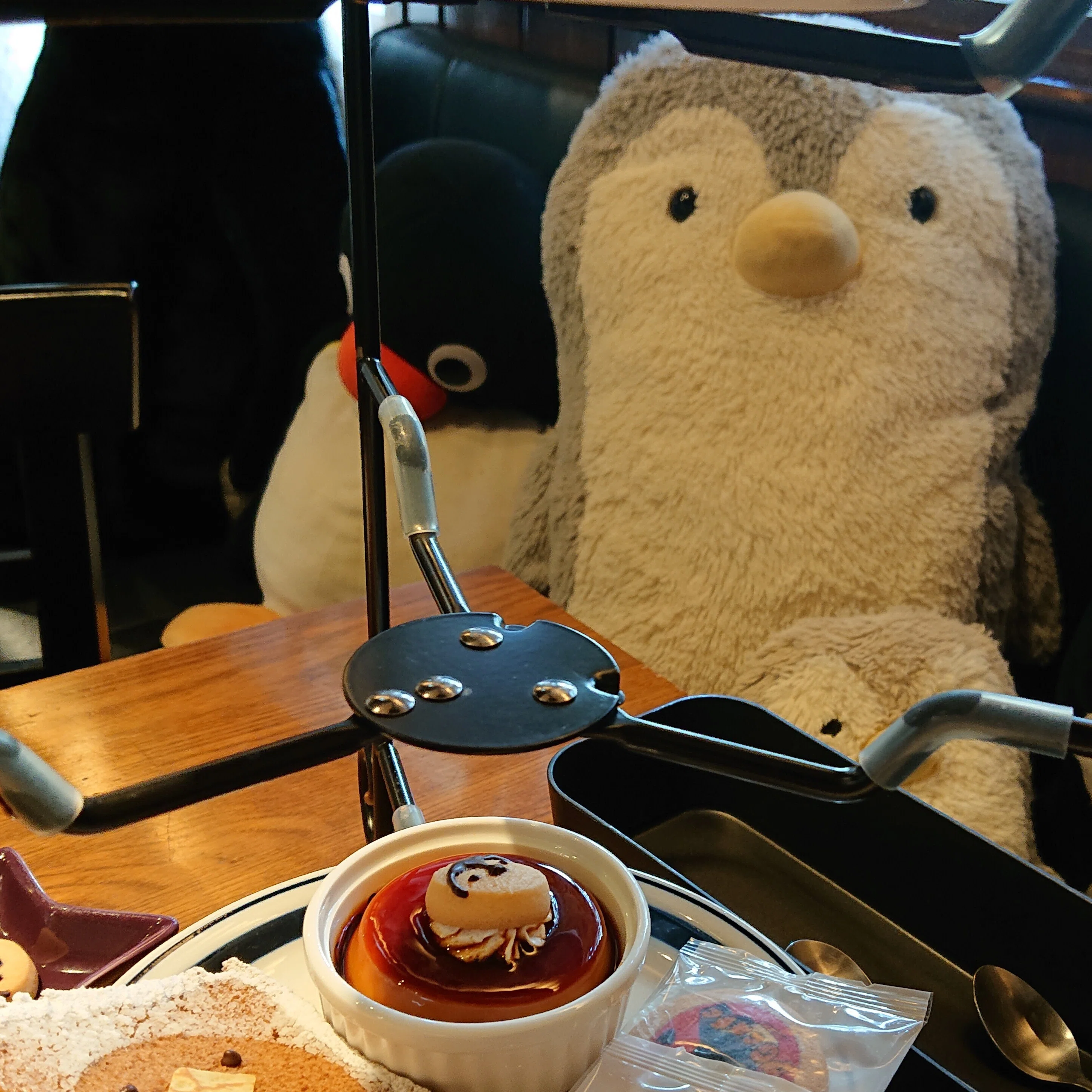 あみぐるみとペン活旅☆ひとり旅デビューはペンギンまみれ🐧🐧🚅｜まい