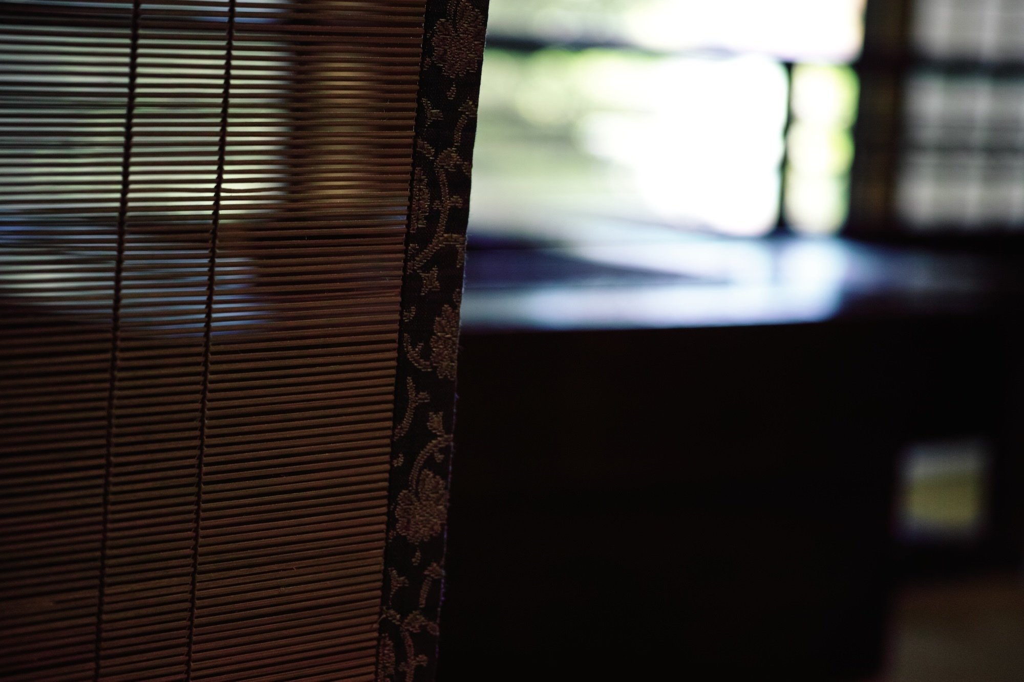 SIGMA DP3 Merrillを振り返ってみる｜猫写真家 あおいとり