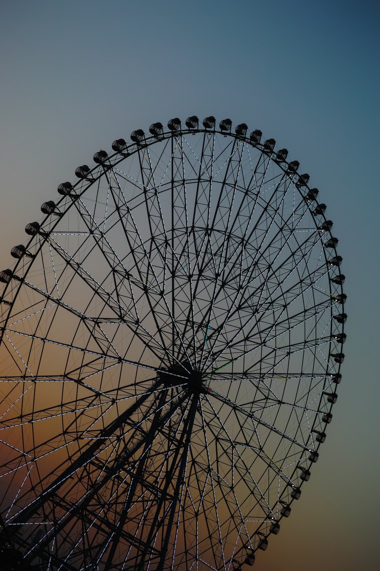 SIGMA DP3 Merrillを振り返ってみる｜猫写真家 あおいとり