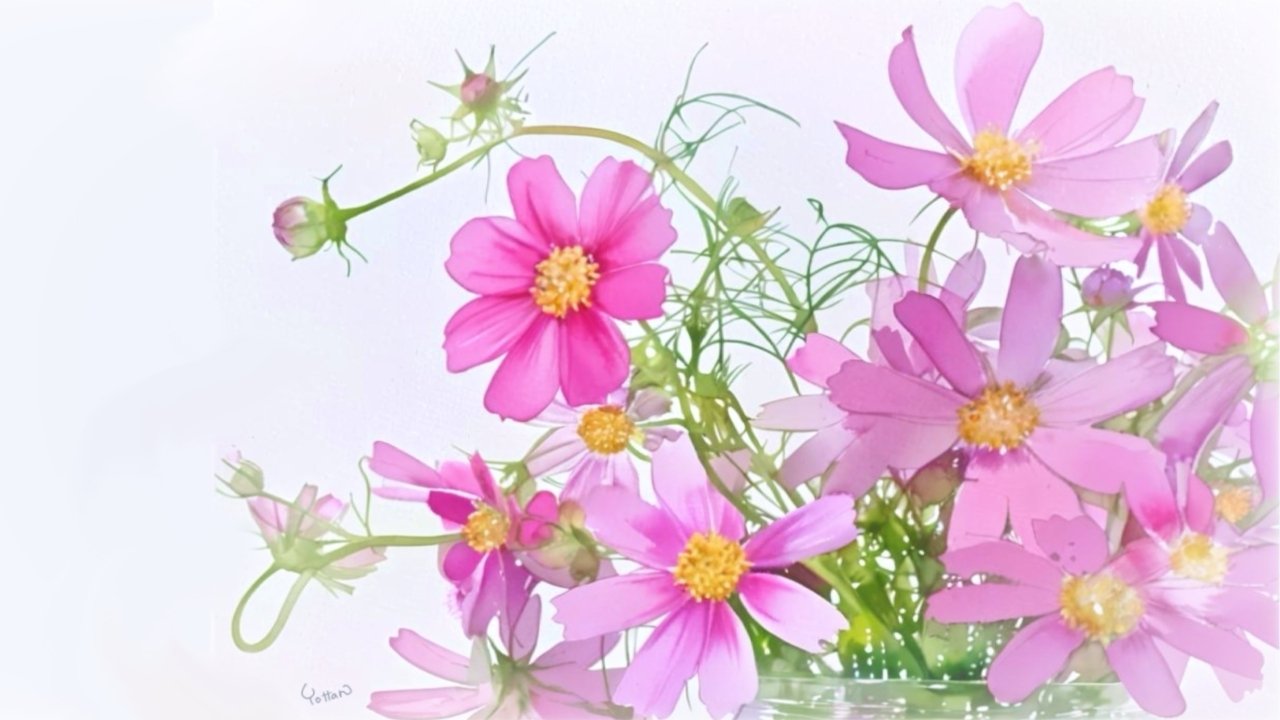 秋桜　水彩画　原画　コスモス コスモス #秋桜#watercolor #watercolourpainting