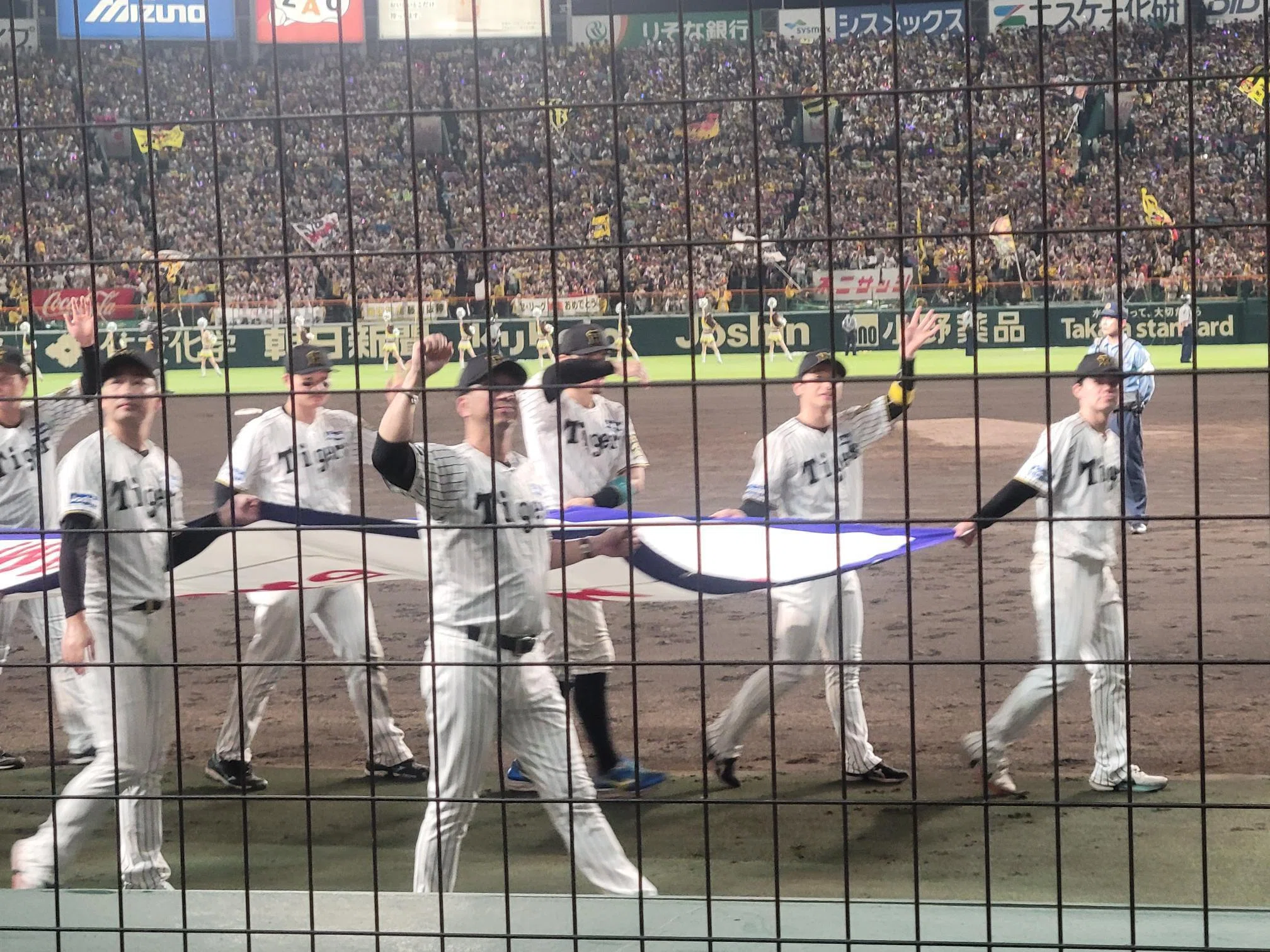 Hanshin Tigers 2025 League Champions｜KIBA藤田瑞夫