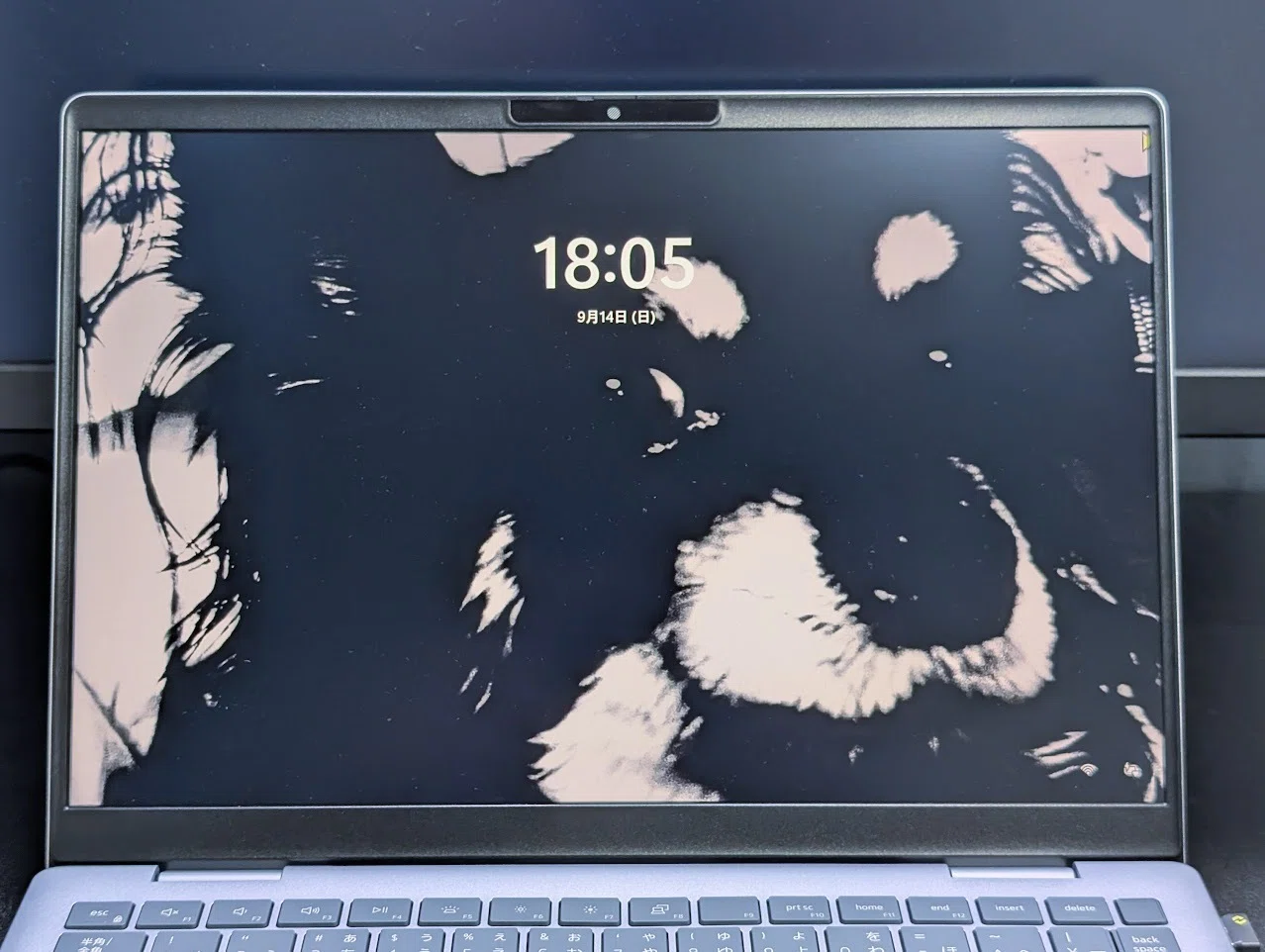 Windows11】新しいパソコンで真っ先にやった初期設定まとめ【おすすめ 