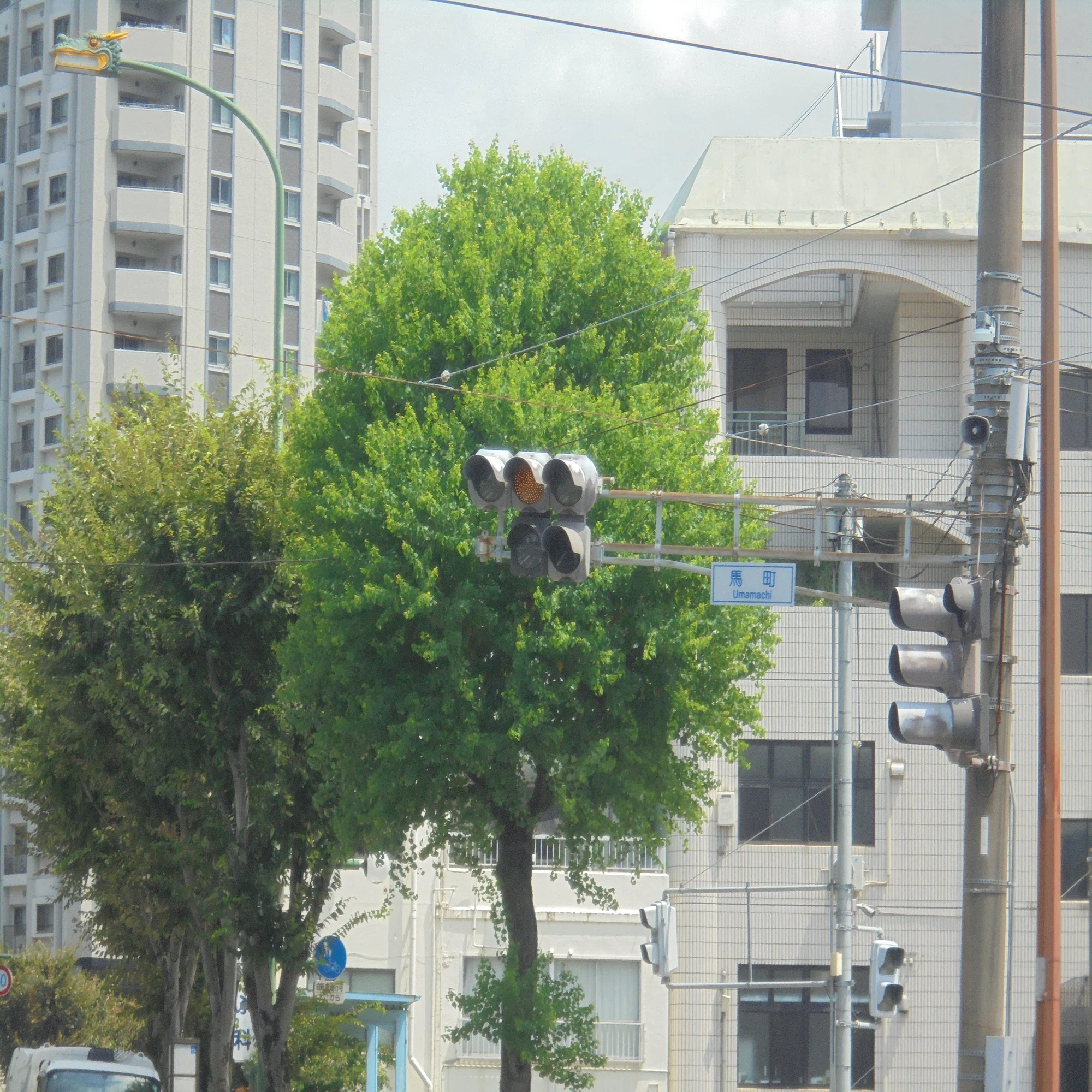 長崎県長崎市馬町のバラバラ矢印｜けんだまの信号機撮影