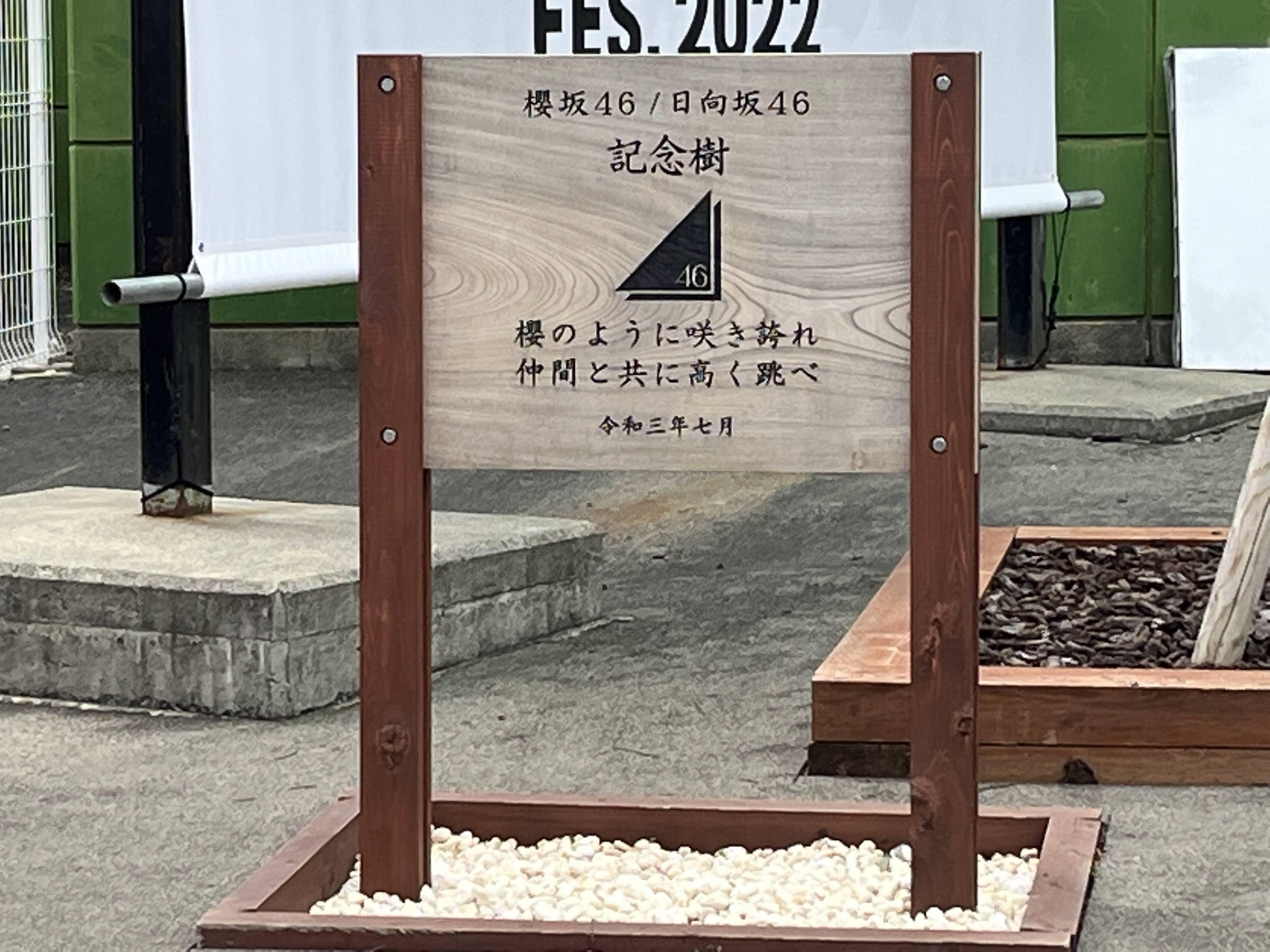 欅坂46 櫻坂46 関有美子 欅のキセキ 日向のアユミ 直筆サイン入りTシャツ 欅坂46 櫻坂46 関有美子 欅のキセキ 日向のアユミ 直筆サイン