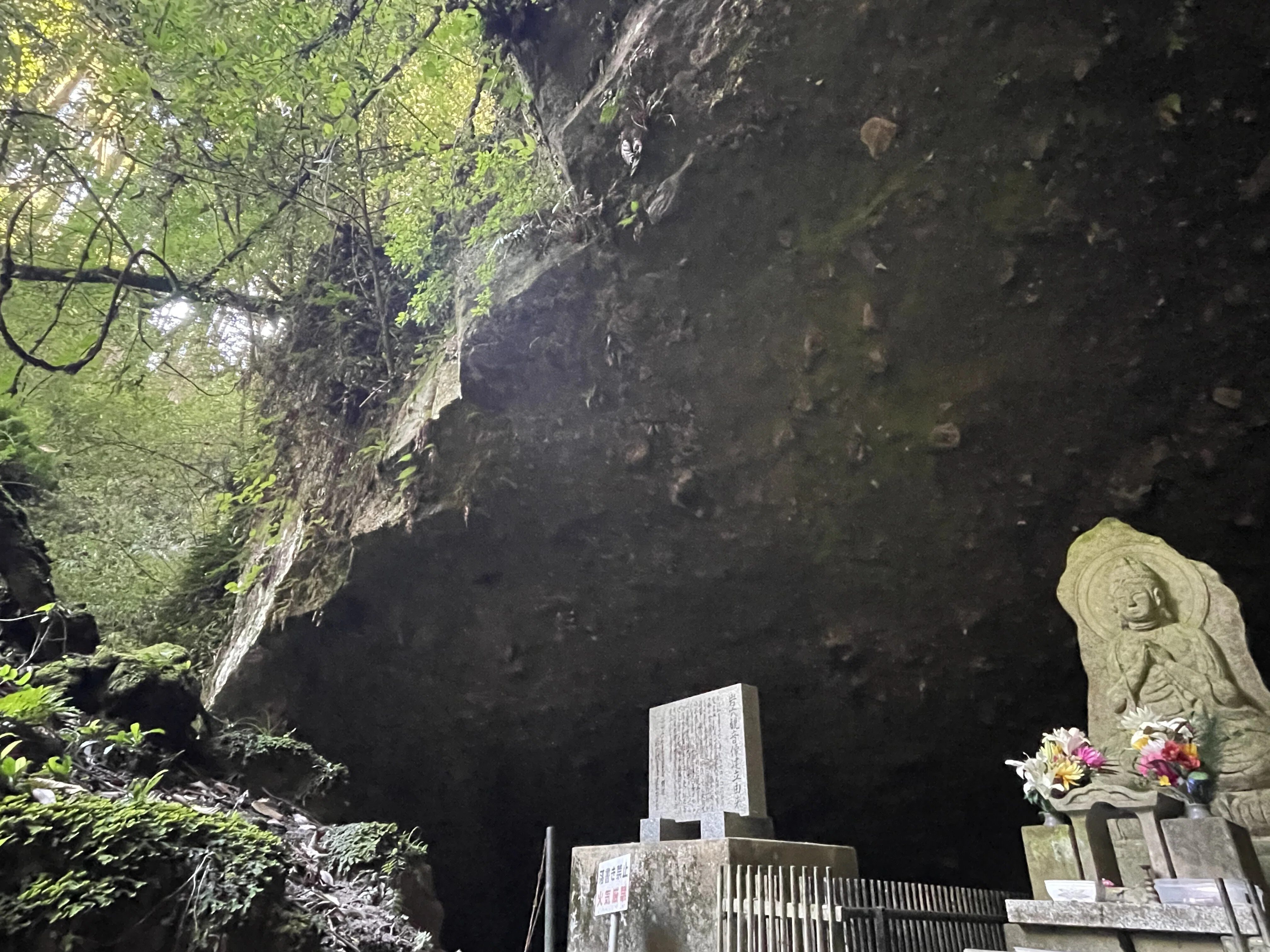 冒険日誌#001】犬が高千穂峰へ抜けたという伝説の洞窟:鹿児島・溝ノ口