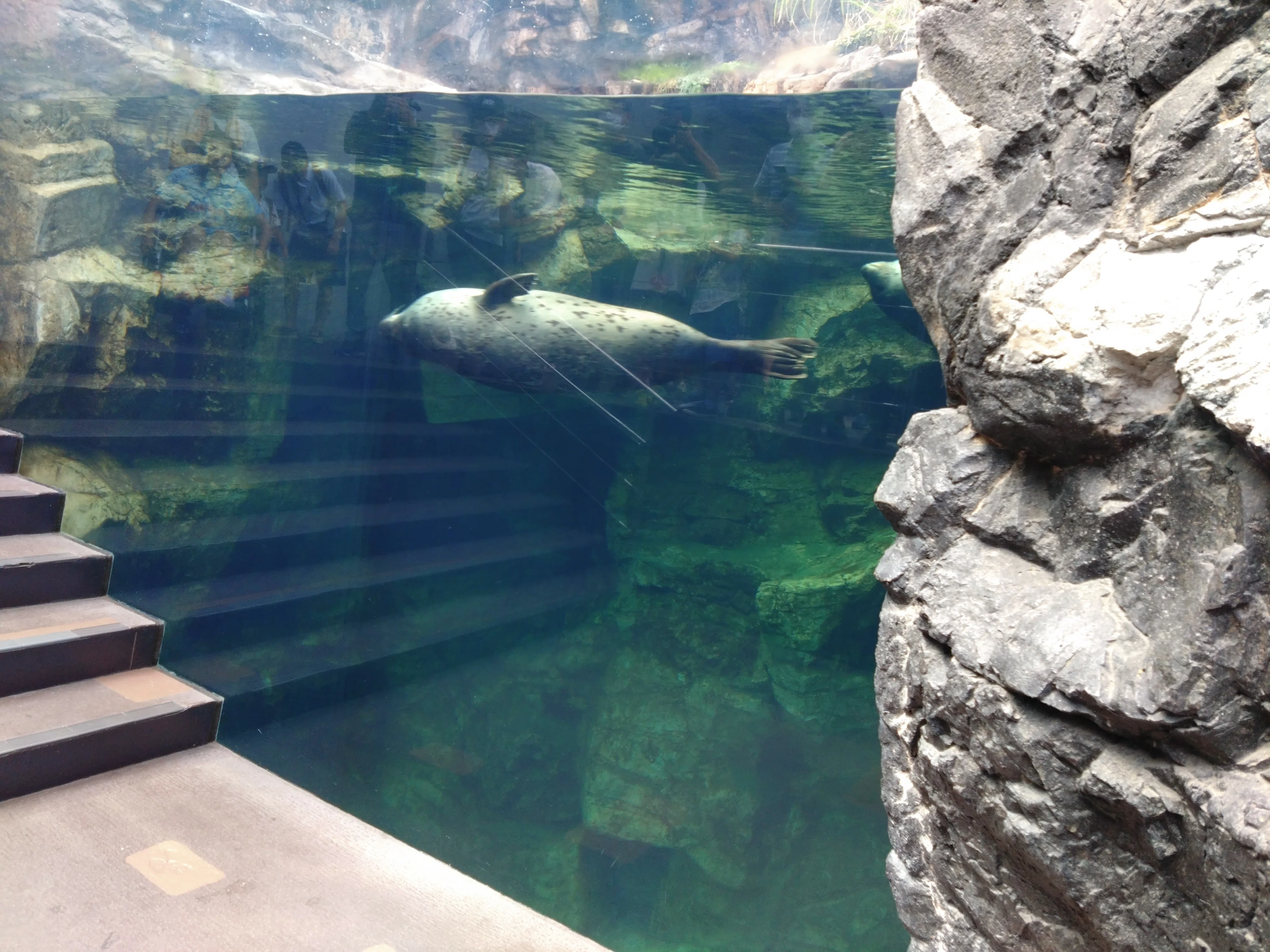 Travel] We visited an aquarium without shows as a family