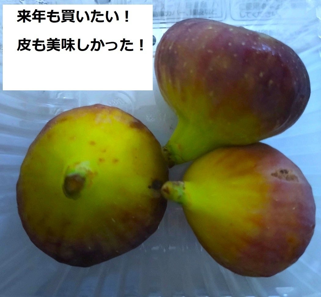 2025年富山の無花果（いちじく）食べ比べ｜酒呑兎