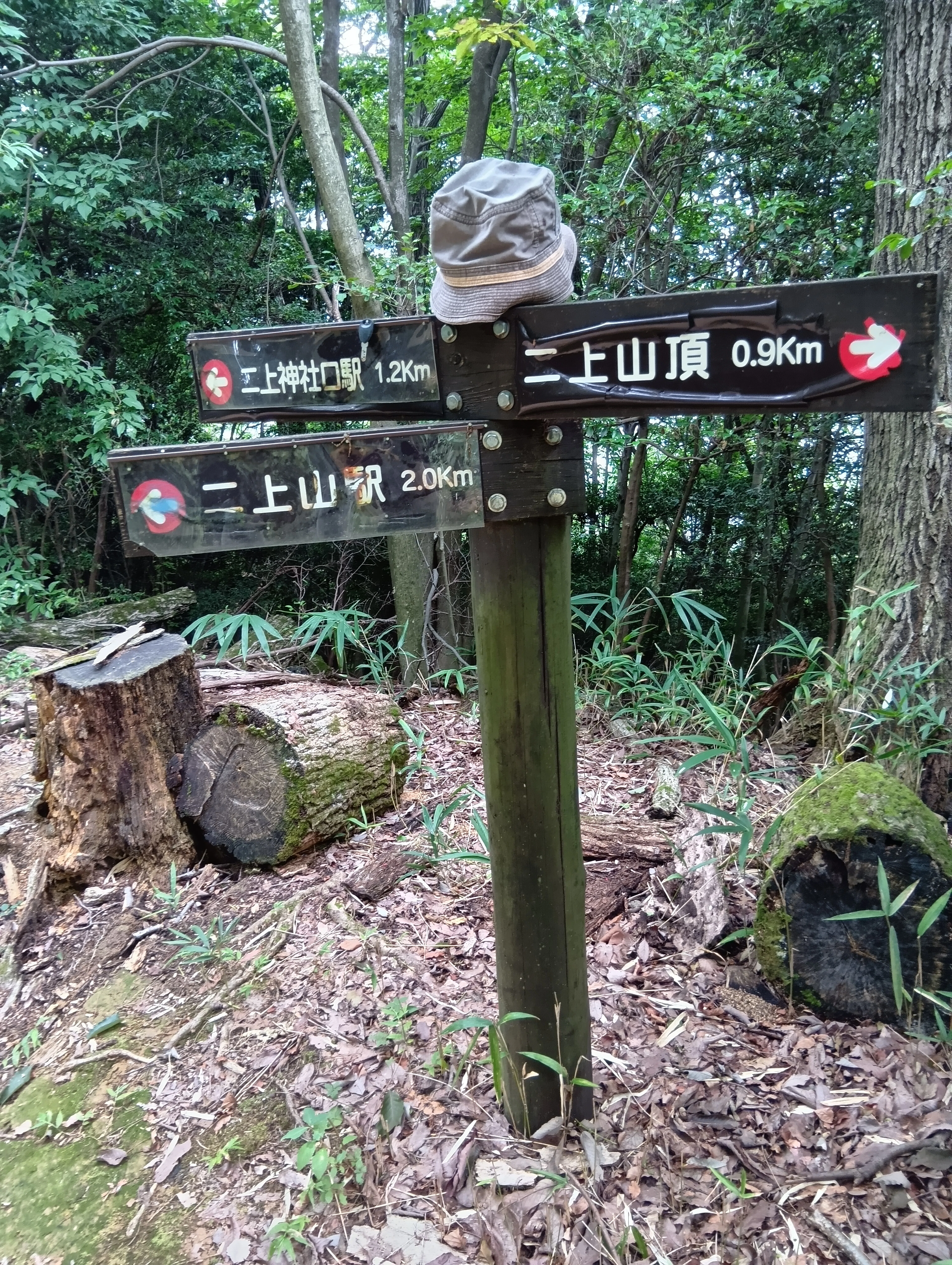 低山ハイク｜多湿、晩夏の二上山。銀峰、雄岳、神社口｜中田弘司