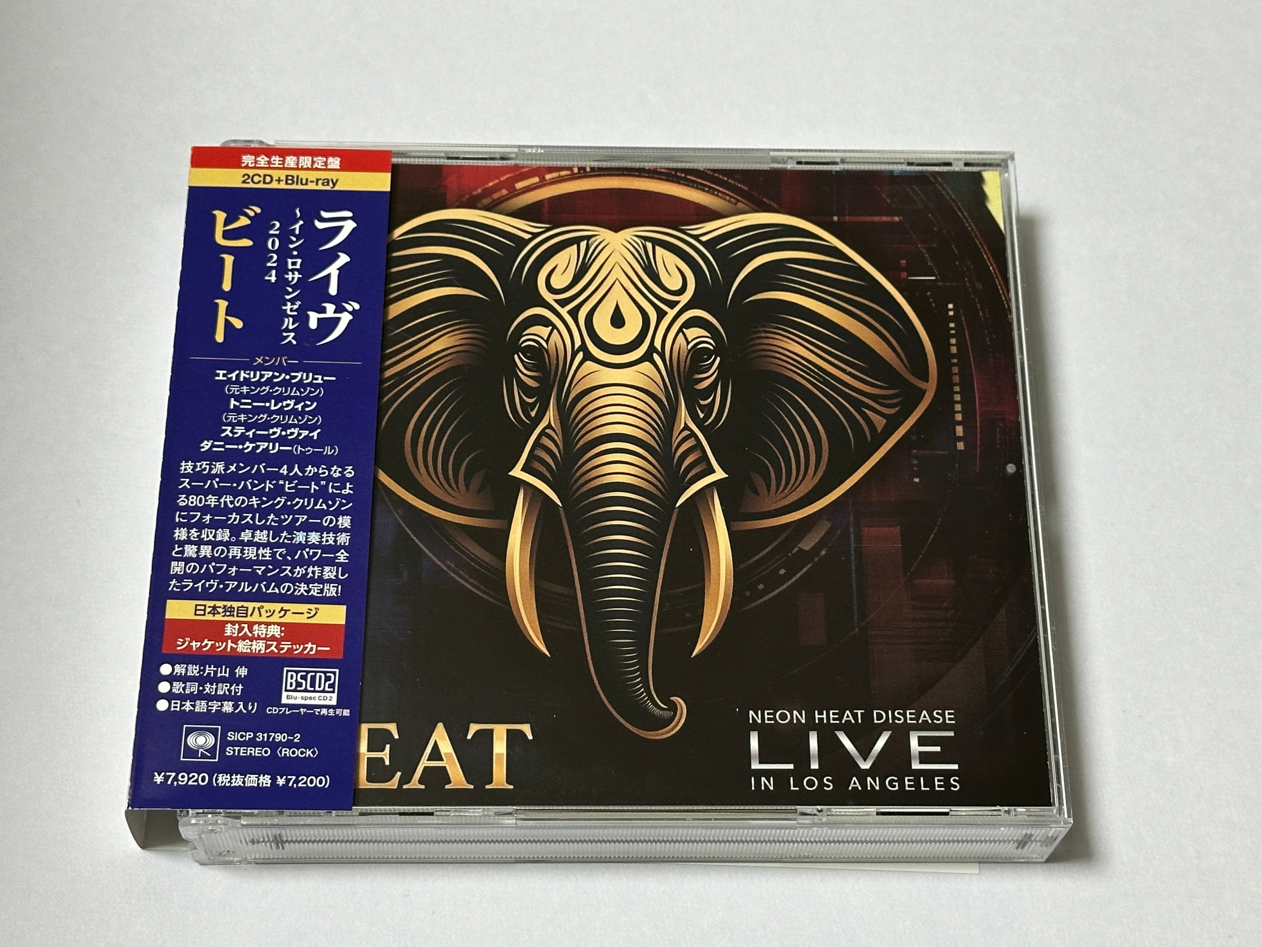 BEAT at 日本武道館（2025.9.1）｜Saki