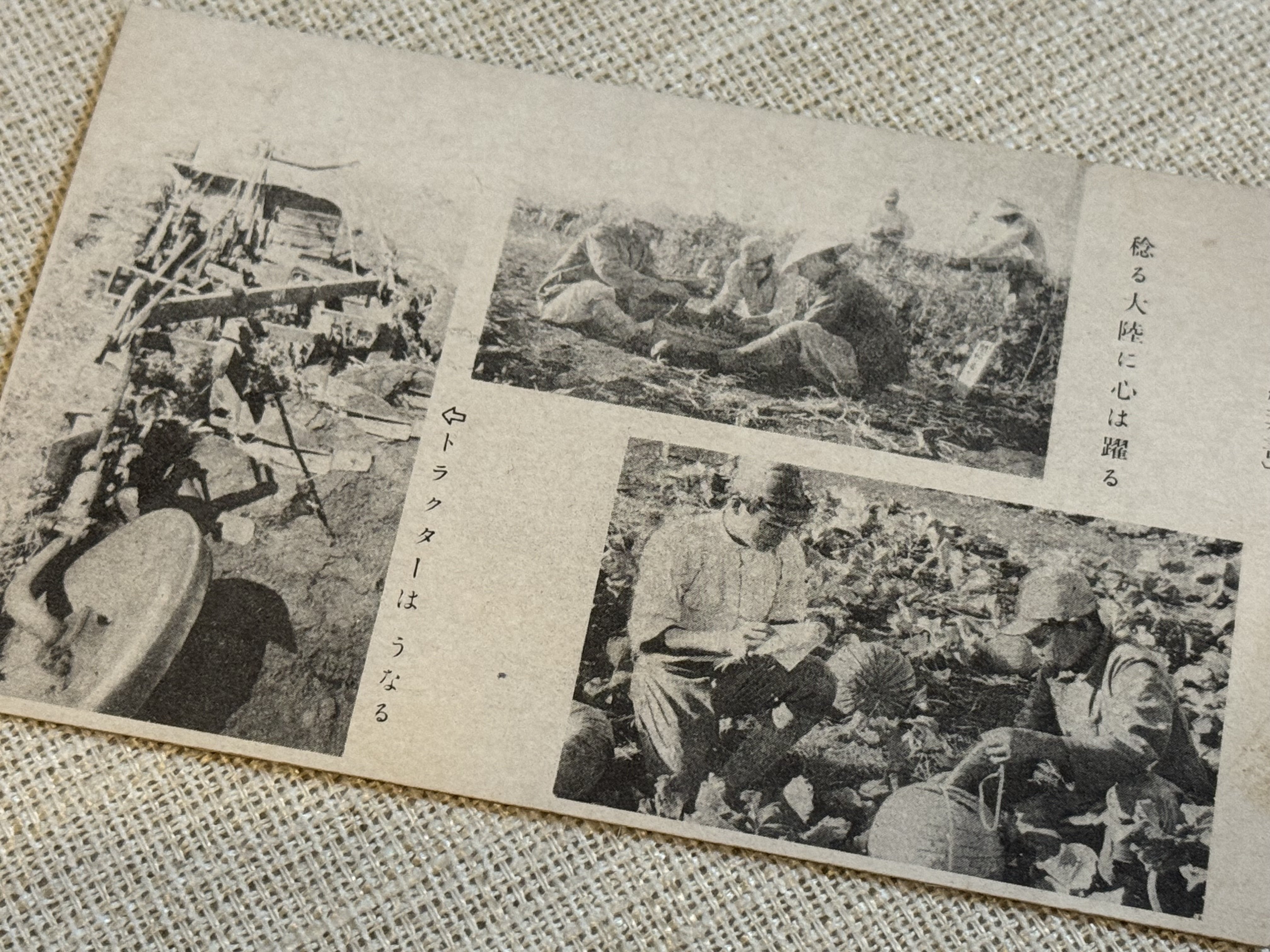 海軍少将・岡野篤夫　資料（６）「外地から家族へのはがき３通・（台南２通）（鎮海１通）」　台湾（中華民国）朝鮮 山頂からの｛旭山｝３６０度パノラマ｛旭平｝ \u2013 小笠原父島 翔雄丸ひ