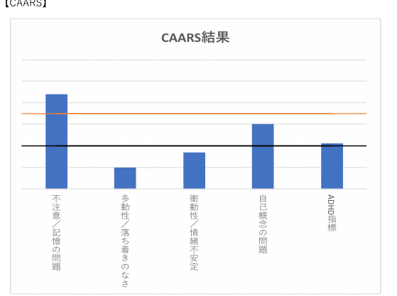 CAARSの結果と感想｜曇キー
