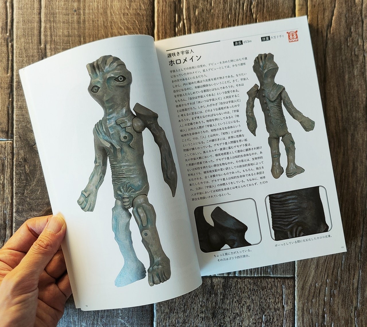 ピコピコ怪獣大図鑑』ピコピコ｜読書感想文175｜Nuts Book Stand