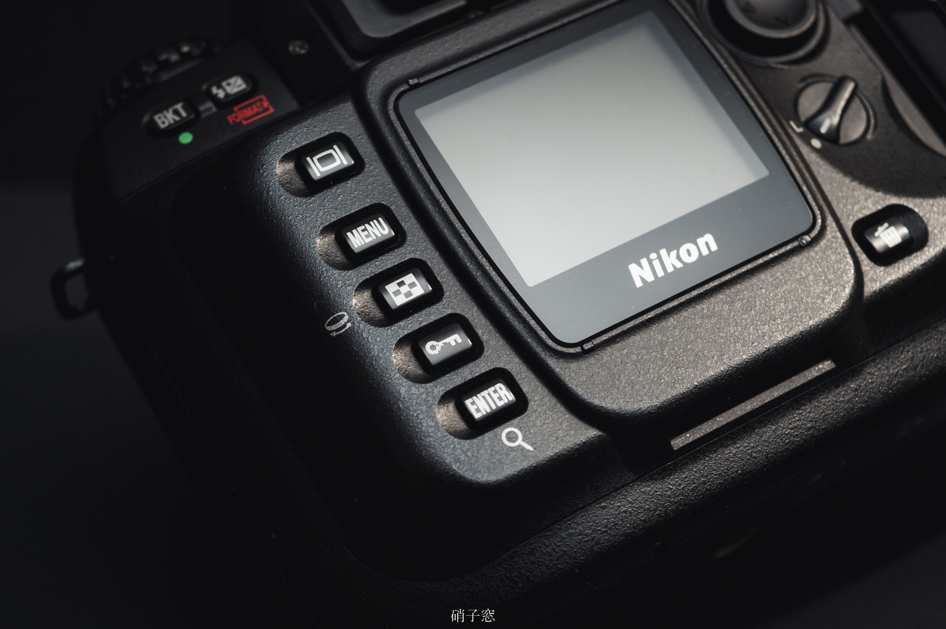 卓越した機動力と表現力を【Nikon D100】｜硝子窓