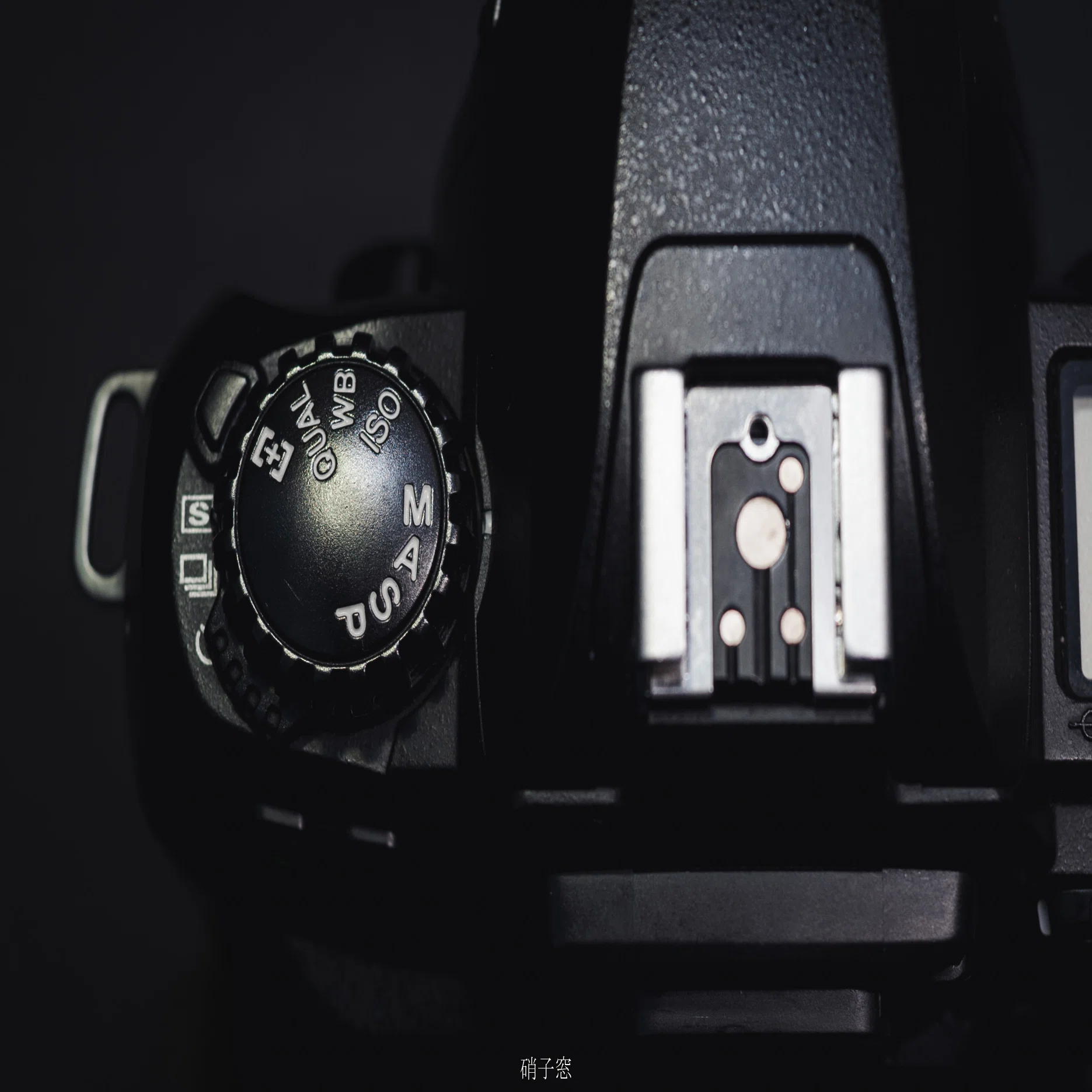 Nikon D100｜硝子窓