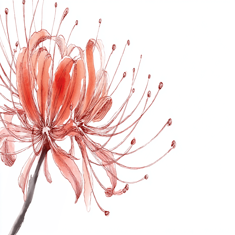 🍂季節のイラスト｜曼珠沙華（彼岸花）｜赤い花｜花子 | Framing