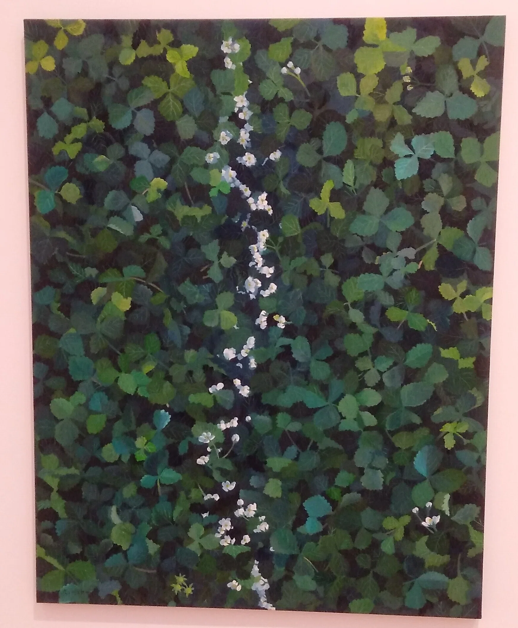 横須賀美術館「世界の絵本パレード」展 日本の絵本作家 堀川理万子