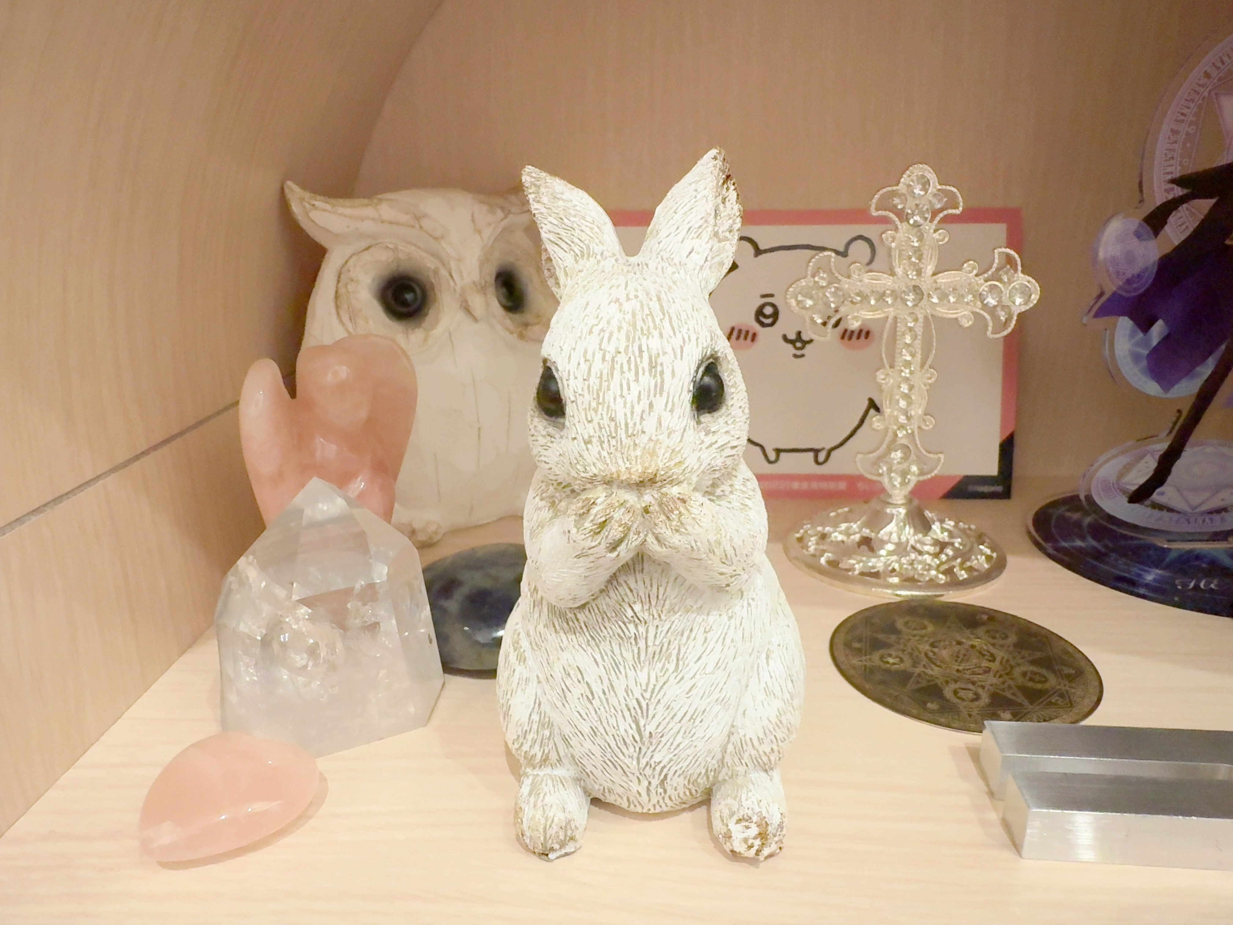 不思議な国のアリスとの出会い ― 白うさぎを追いかけたら｜みみうさ日和🐰