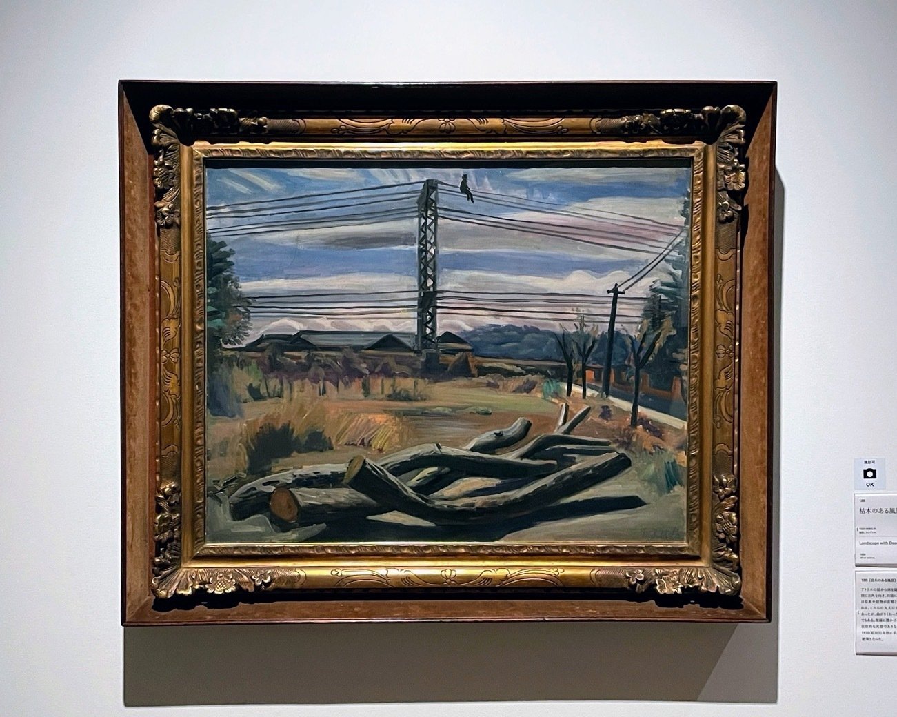 展覧会レポート】 小出楢󠄀重 新しき油絵 ／大阪中之島美術館｜美術館