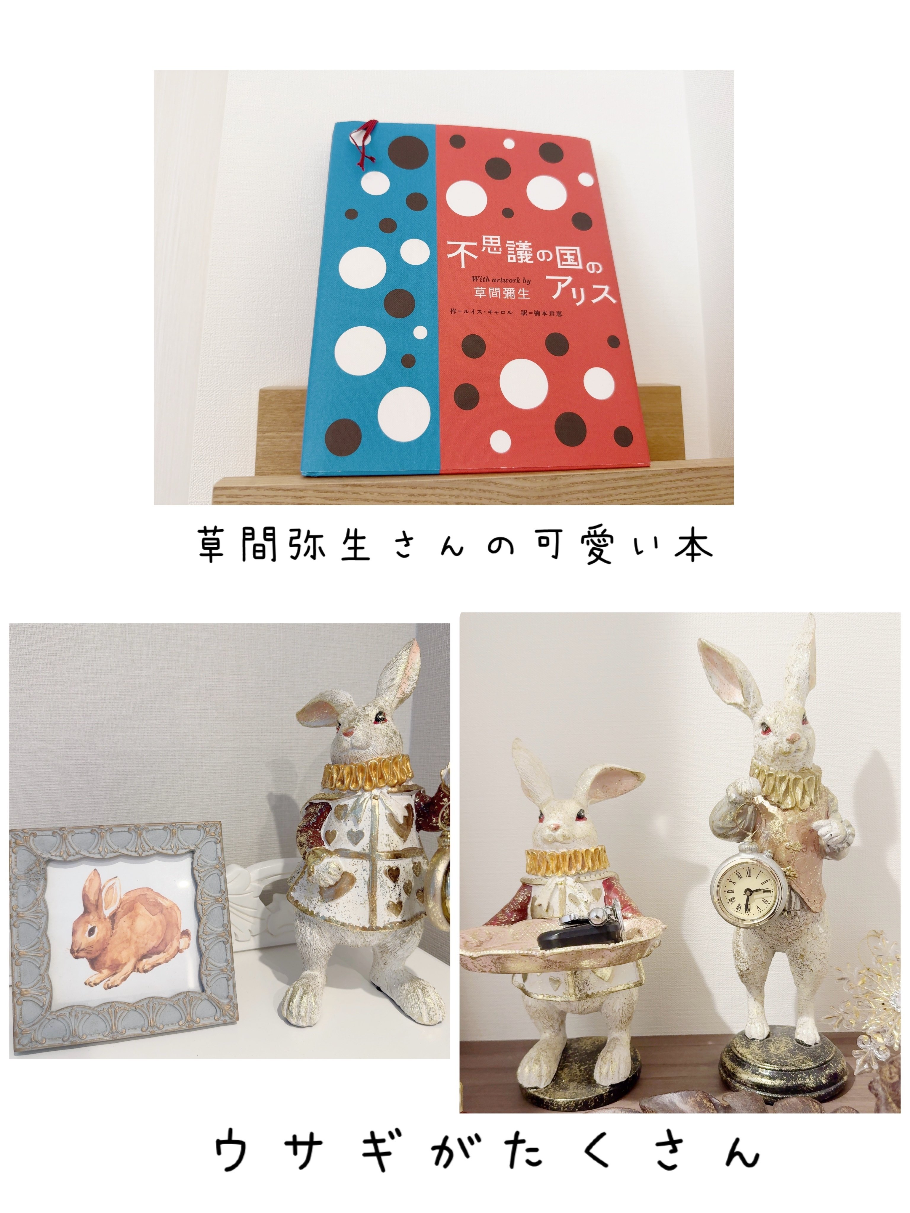 不思議な国のアリスとの出会い ― 白うさぎを追いかけたら｜みみうさ日和🐰