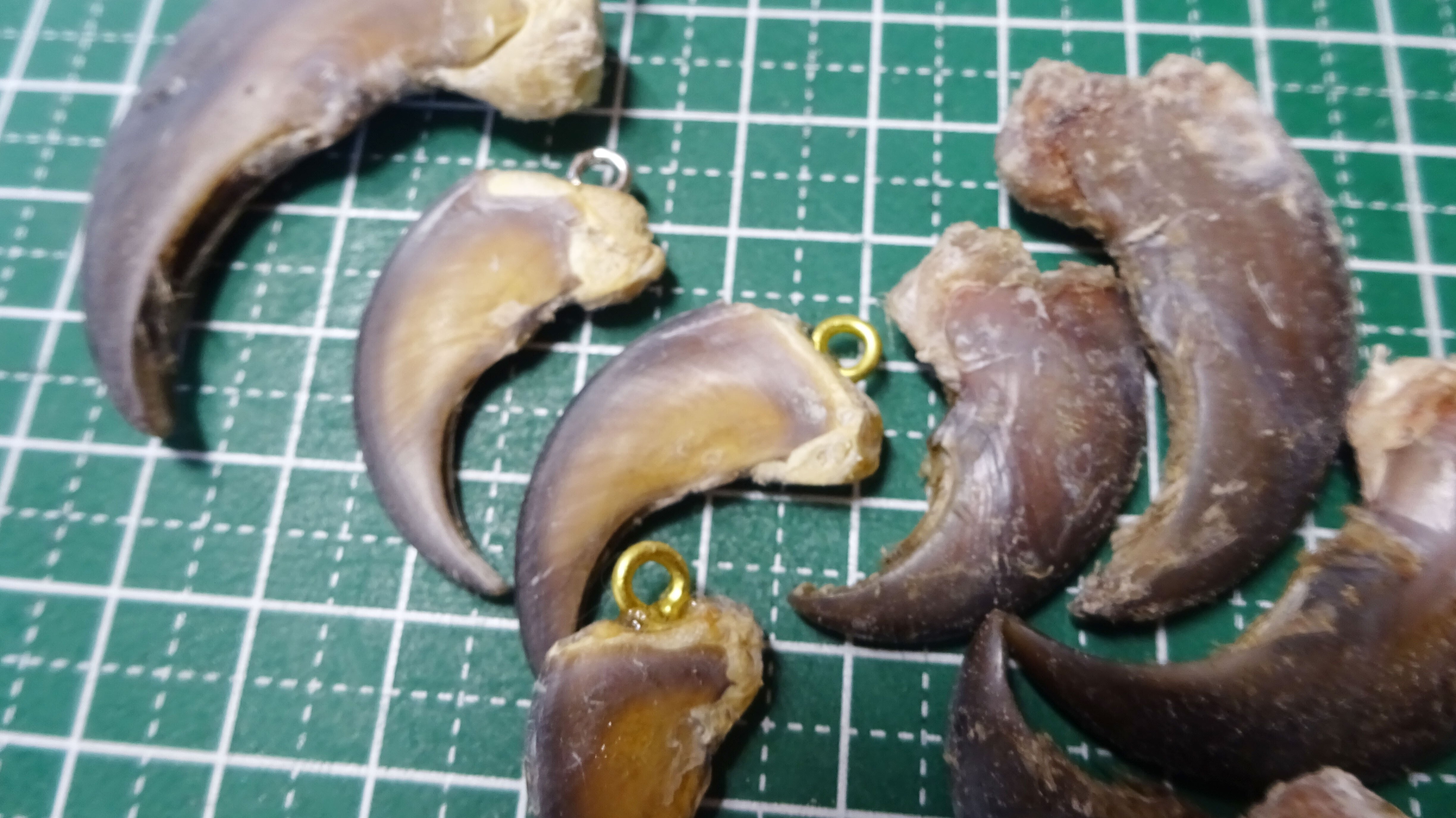 熊の爪と岩芝民芸｜ichico-山奥で草を編む人