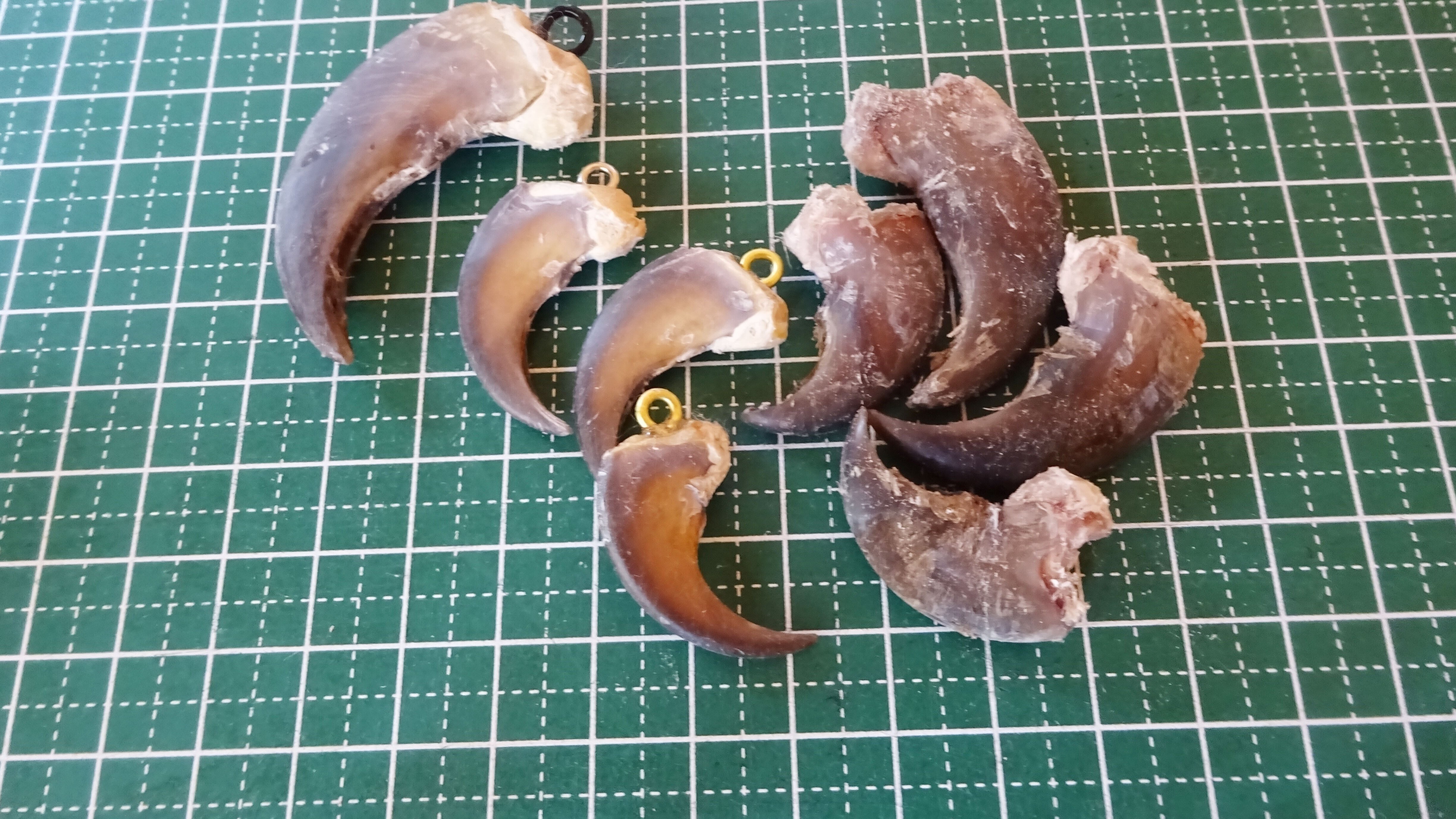 熊の爪と岩芝民芸｜ichico-山奥で草を編む人