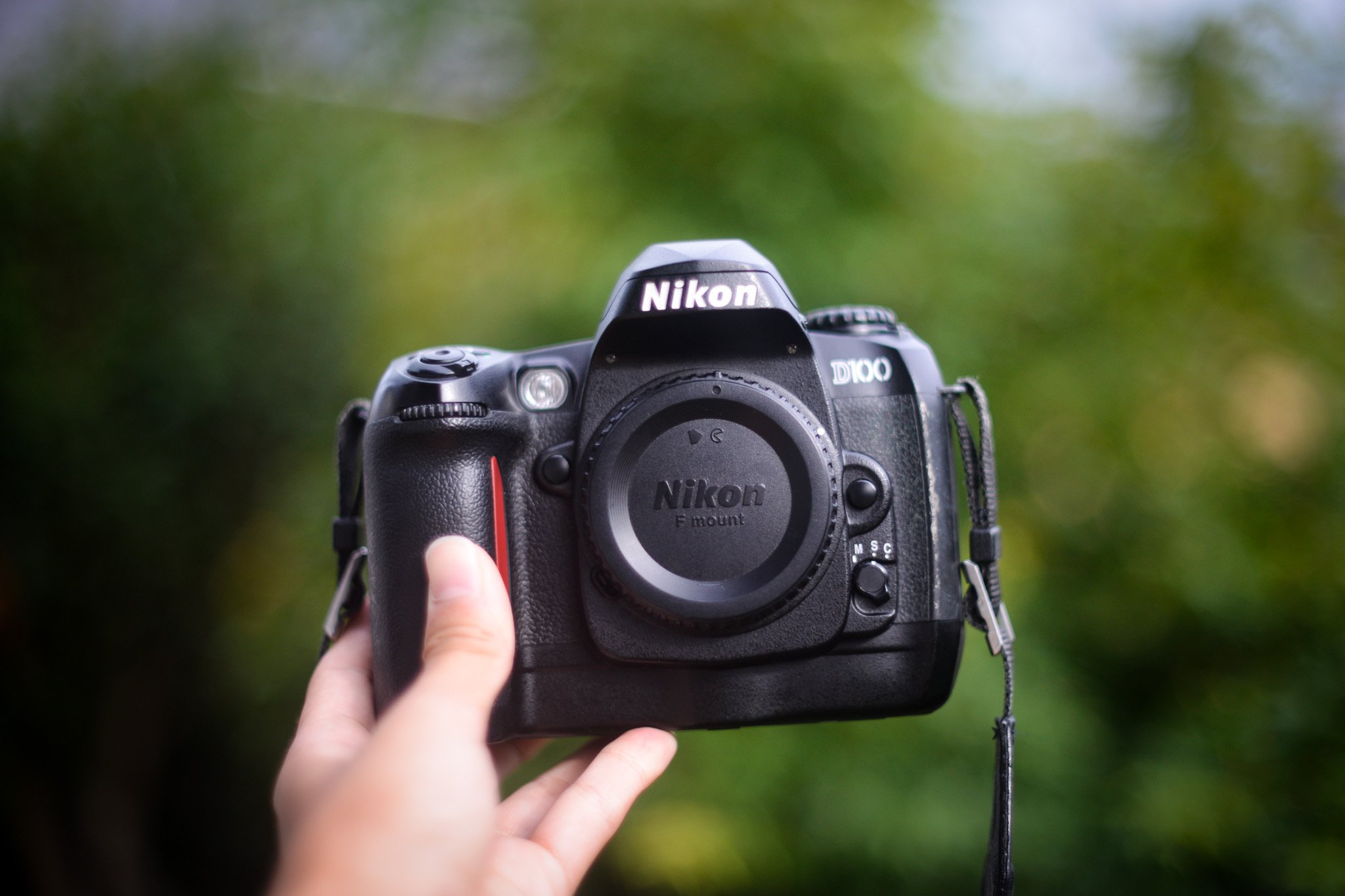 卓越した機動力と表現力を【Nikon D100】｜硝子窓