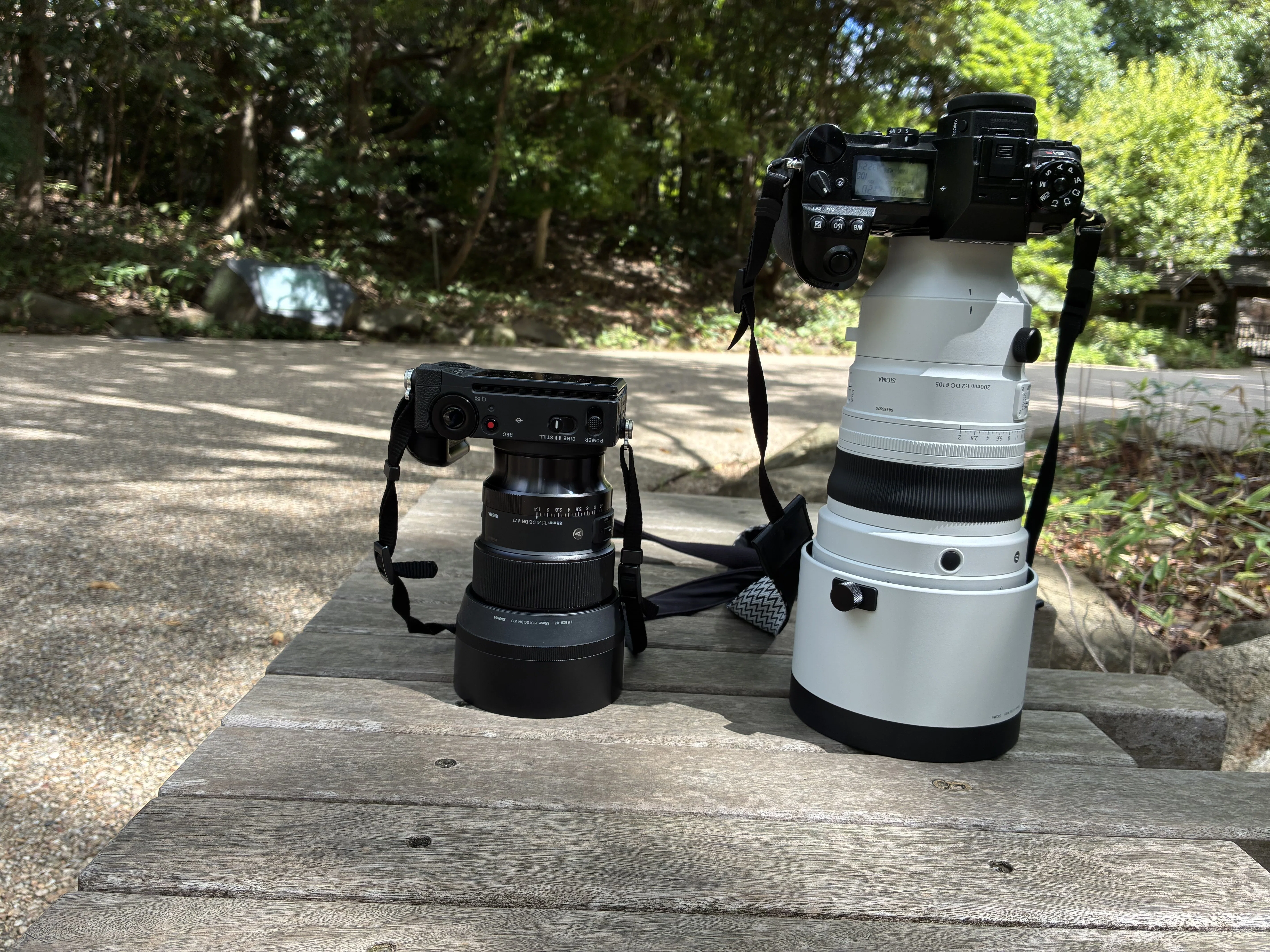 SIGMA 200mm F2 DG OS sportsを数回使ってみた感想。｜STYLO/taku