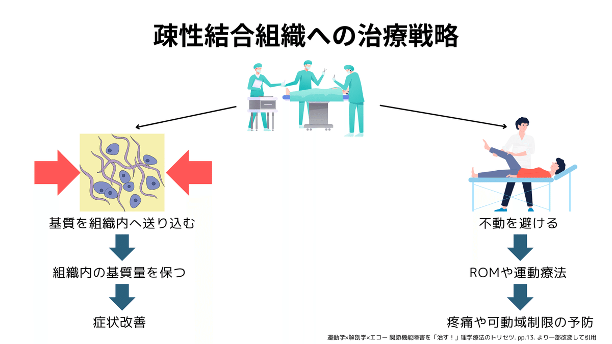 Amazon.co.jp: 運動学×解剖学×エコー 関節機能障害を「治す！」理学
