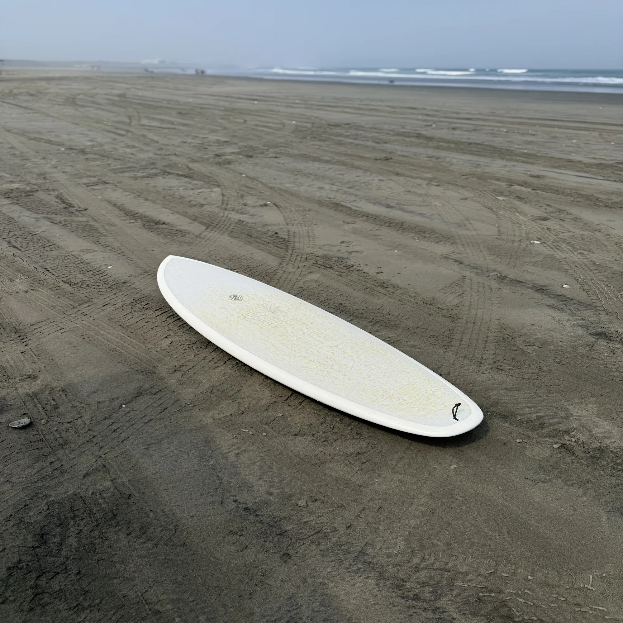 Neal Purchase Jnr Cluster Test Ride｜RIDE SURF+SPORT