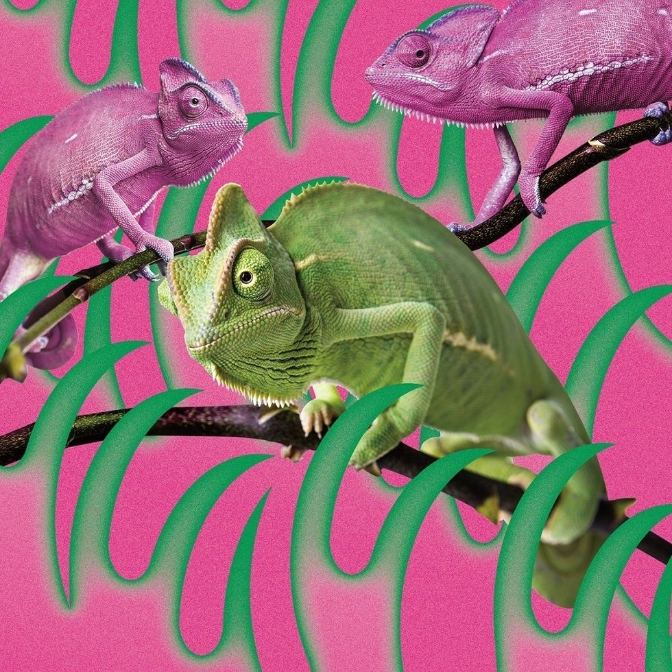 赤い公園と天才・津野米咲をここに遺す──遅れてきたアラ還が綴る