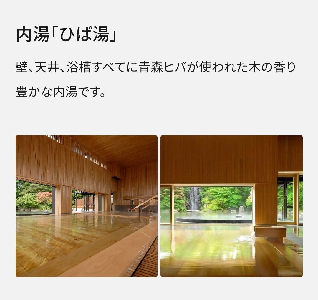 年末も有効　家族連れに新青森や弘前なら家族か子供分も含めて2枚でお得。えきねっとで予約後使用可　JR東日本株主優待券 送料込 どこかにビューーン！青森へ家族旅③ ２日目弘前＆青森編／樹氷は