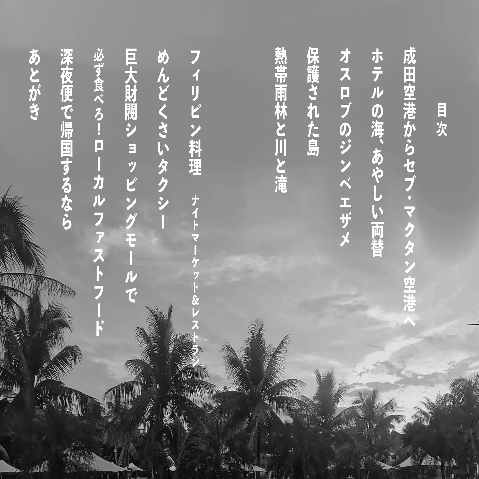 海外旅行記本を憧れの文庫サイズで作った/同人誌/ZINE｜サカナ｜SAKANA