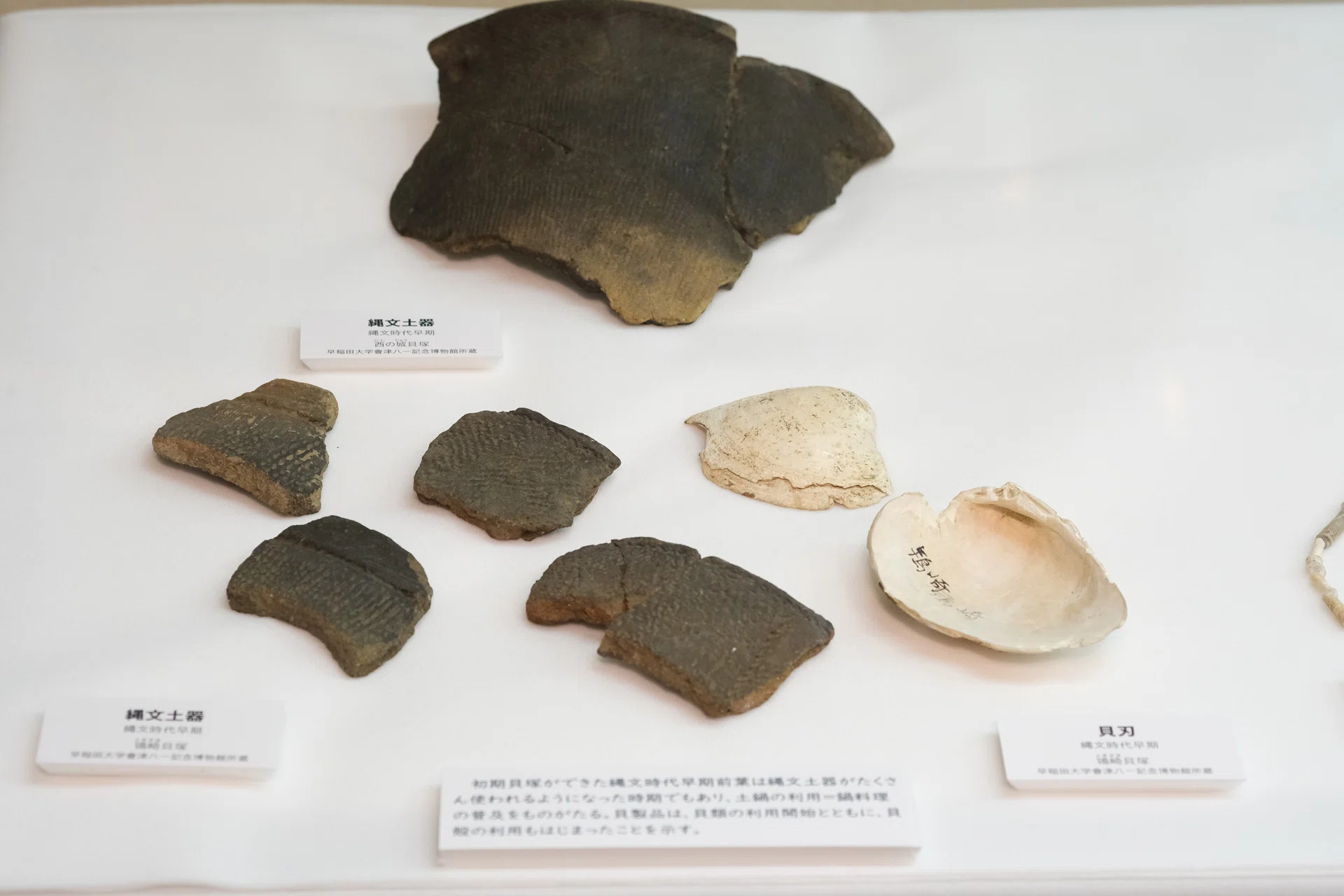 西の城貝塚（千葉県香取郡神崎町）｜堀さと