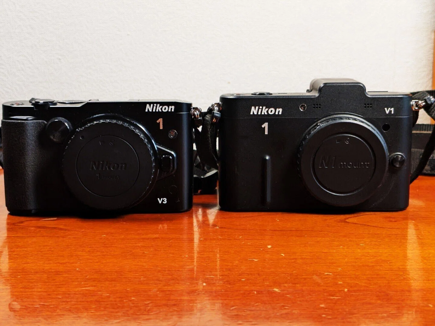 今更、Nikon1のすすめ ～ 小型軽量ミラーレスカメラシステム ｜かるり