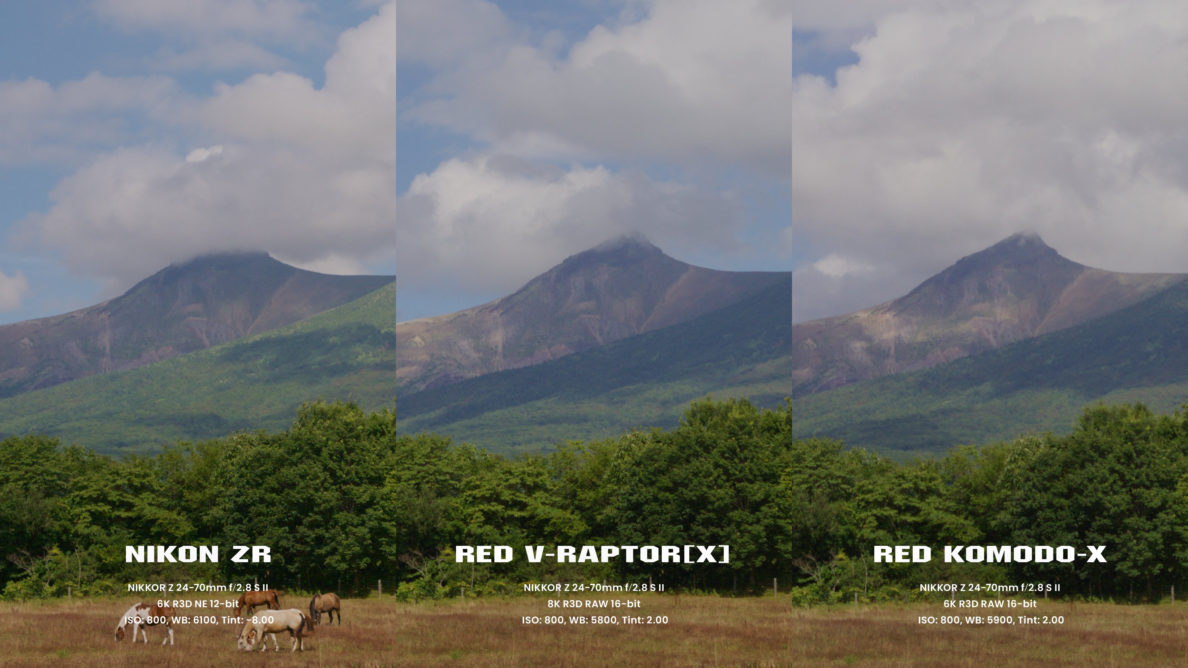 新米【ラン画面】 Nikon ZR のルックを徹底検証！｜UMU TOKYO