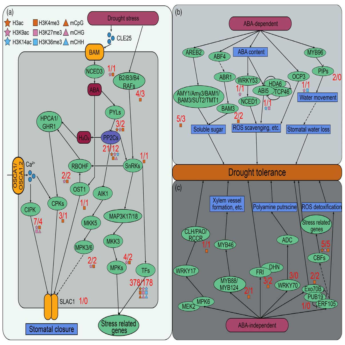 Untitled, image size:1688x1208