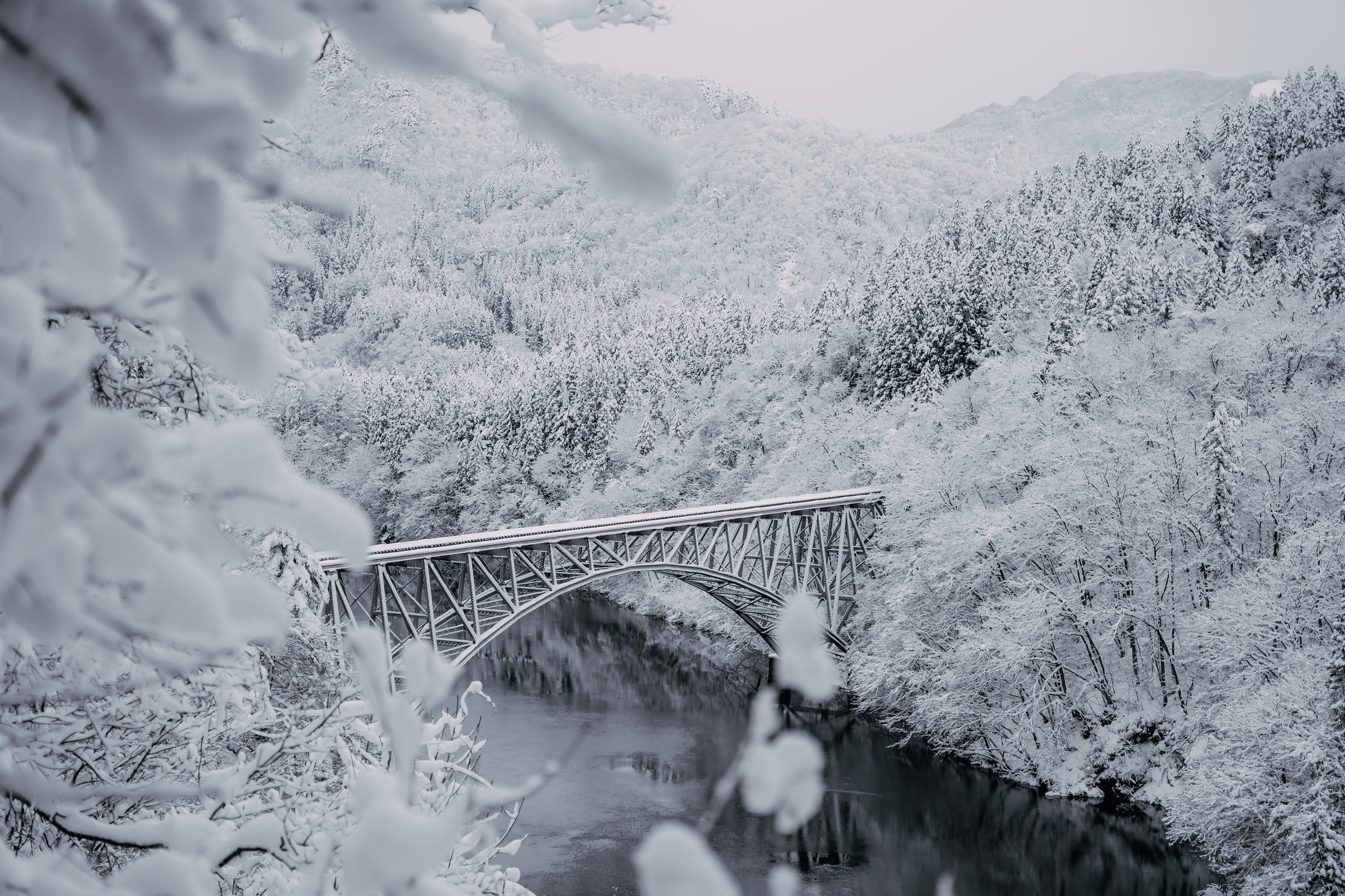 自己紹介】東北の写真家｜はじめてのnote ｜zookomi0124