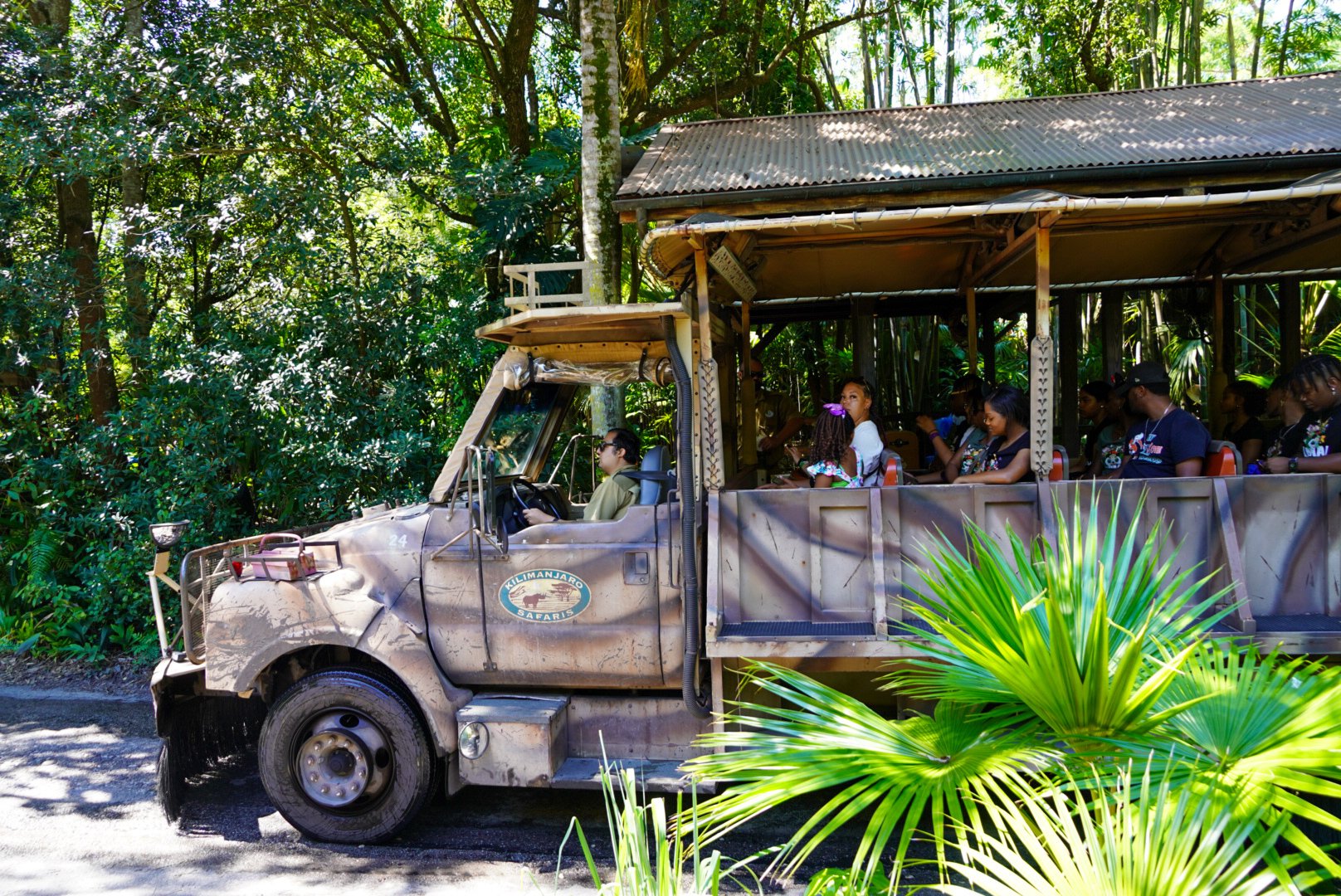 フロリダ・ディズニー】アニマルキングダムおすすめアトラクション5選