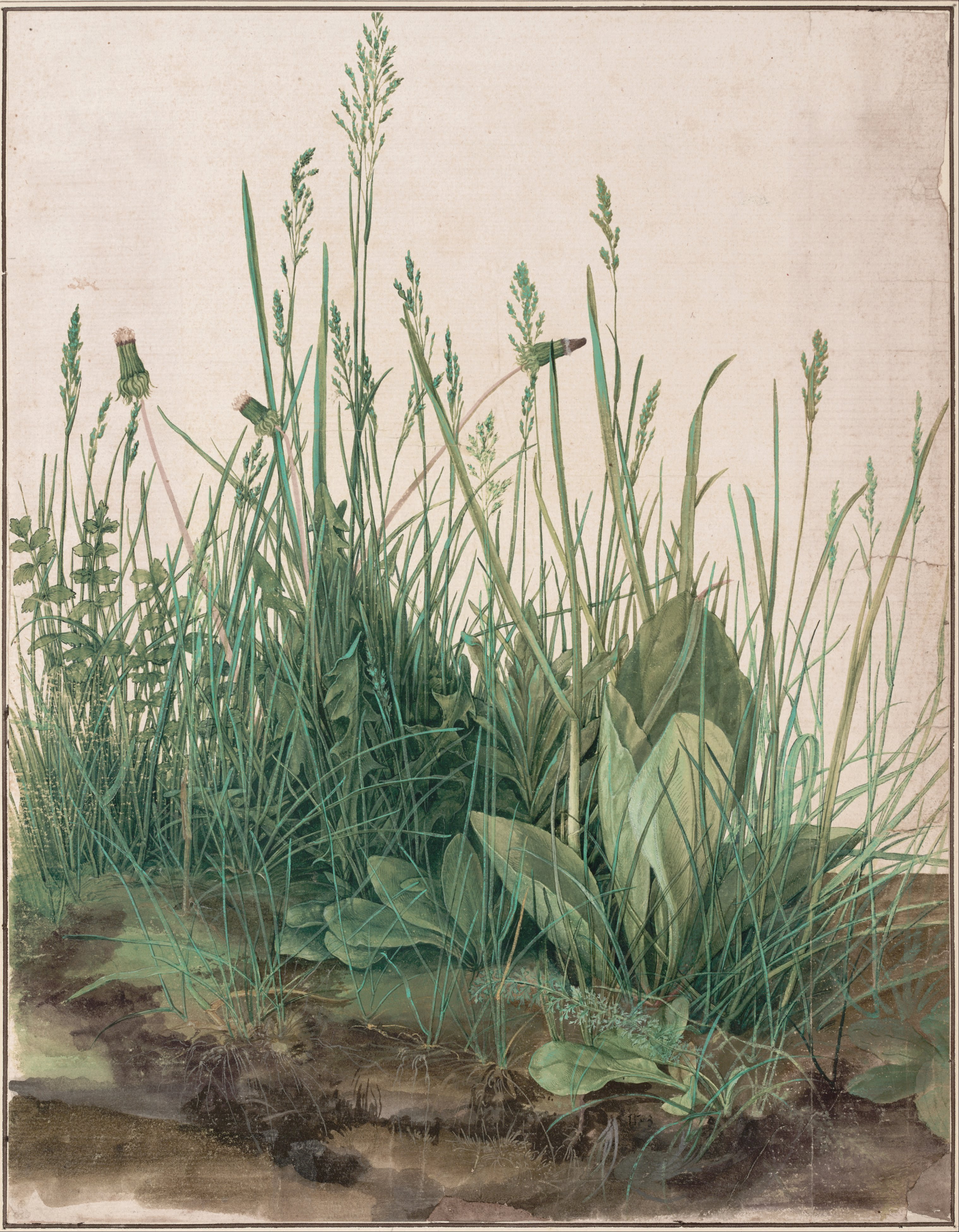 図録『永遠に花咲く庭　17ー19世紀の西洋植物画』 ARCHIVES - LOGOS GALLERY - アンティーク博物画「ボタニカルアート