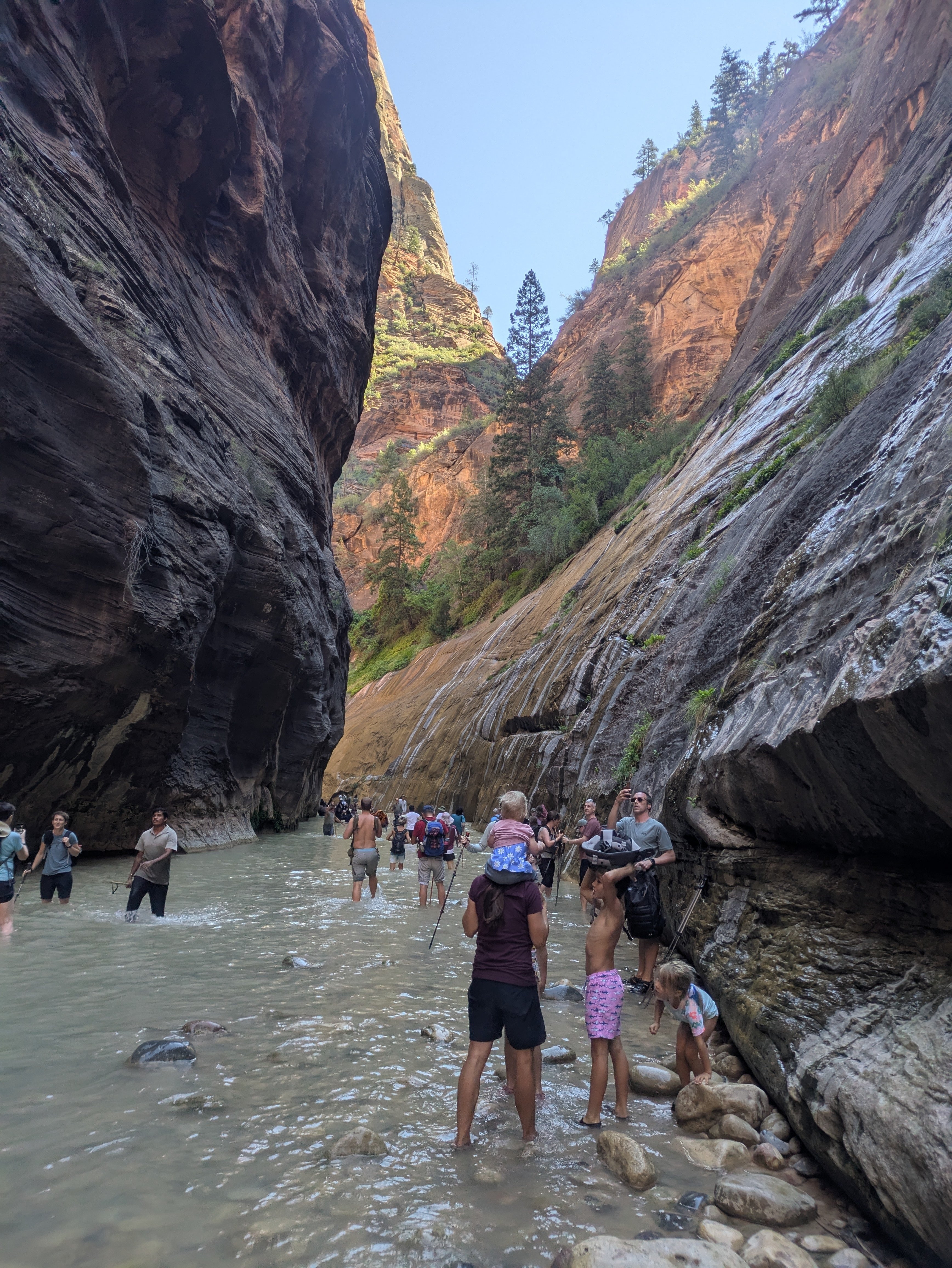 真夏のザイオン国立公園でザ・ナロウズの川のぼりハイキングをやって