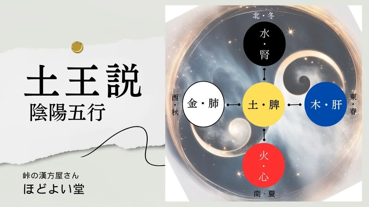 五行と“土王説”：脾（＝消化・吸収）を立て直せば肌は変わる｜宮崎県漢方薬局ほどよい堂