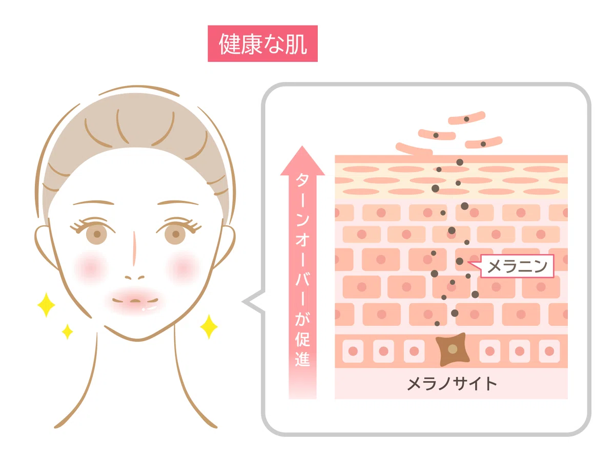 科学で読む「夜型と皮膚バリア」—リズムとTEWLを味方に｜宮崎県漢方薬局ほどよい堂