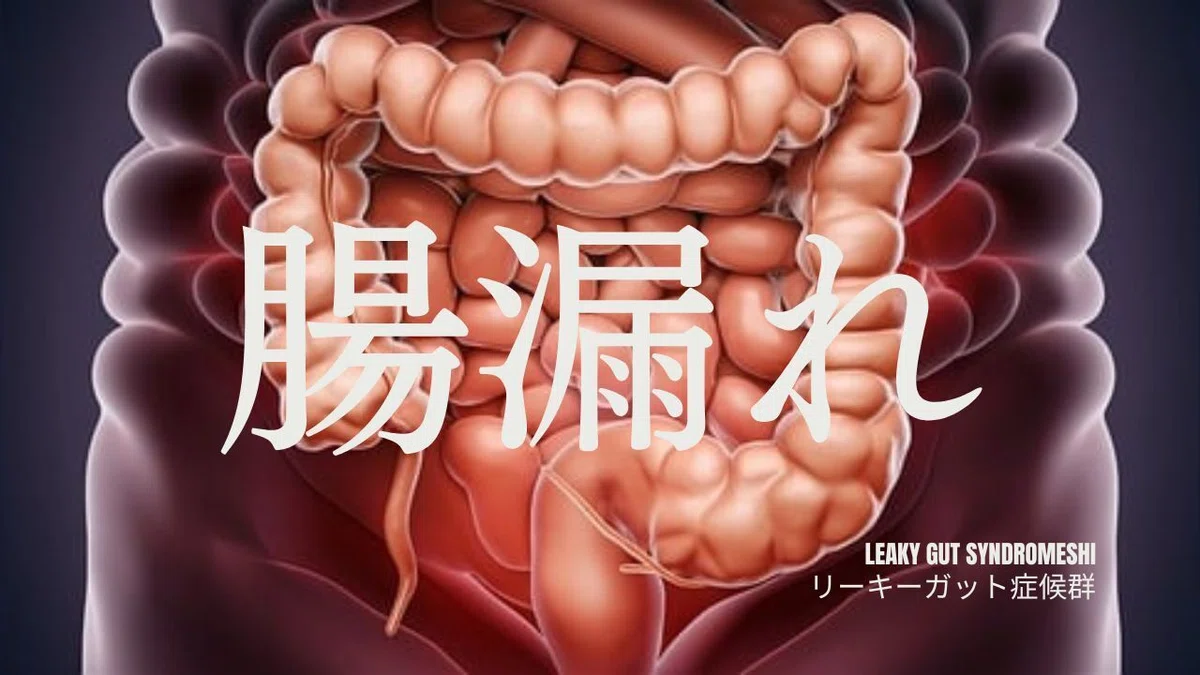 「リーキガットは医学的に本当にあるの？」｜宮崎県漢方薬局ほどよい堂