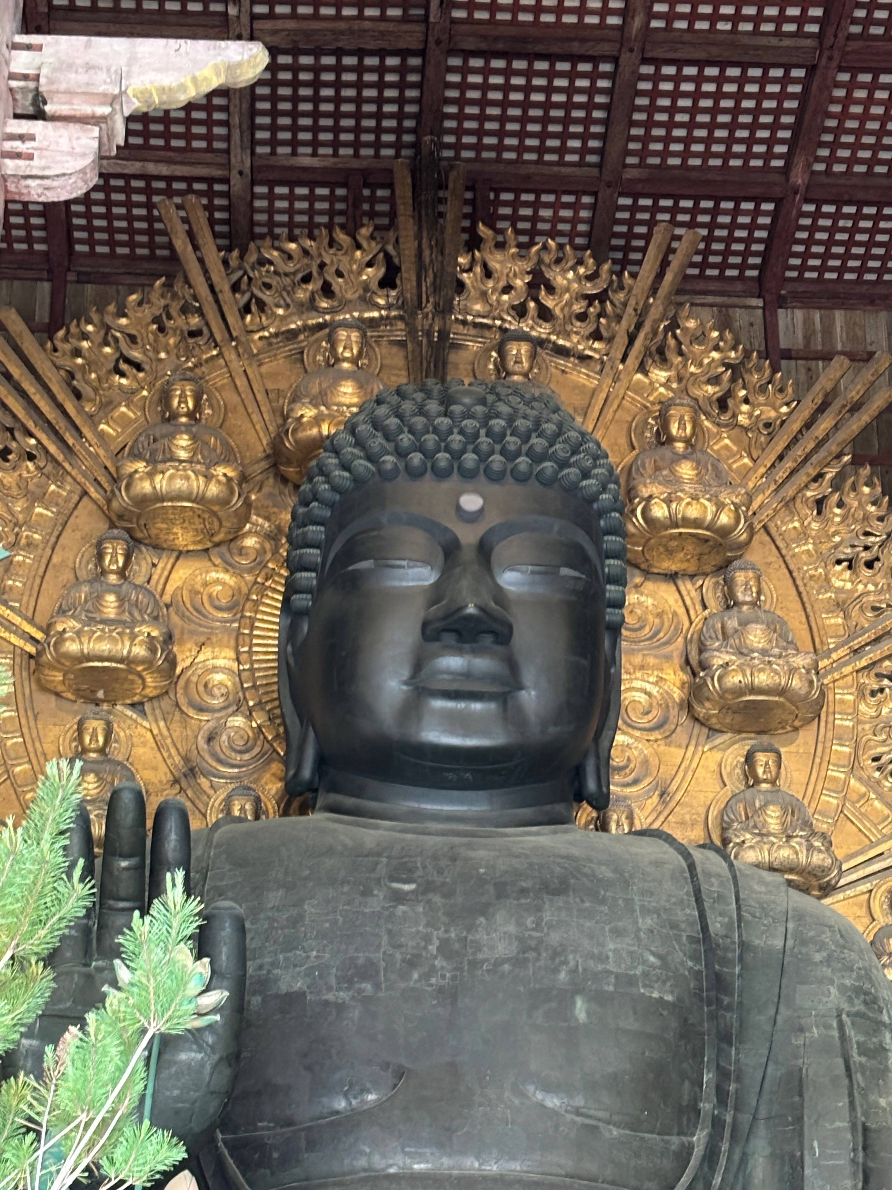 奈良・飛鳥・鎌倉の大仏を比べ見る｜山吹みかさ