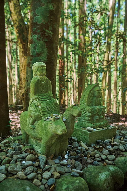世界遺産・熊野古道］世界に愛される巡礼道、中辺路を歩く｜ほんのひととき