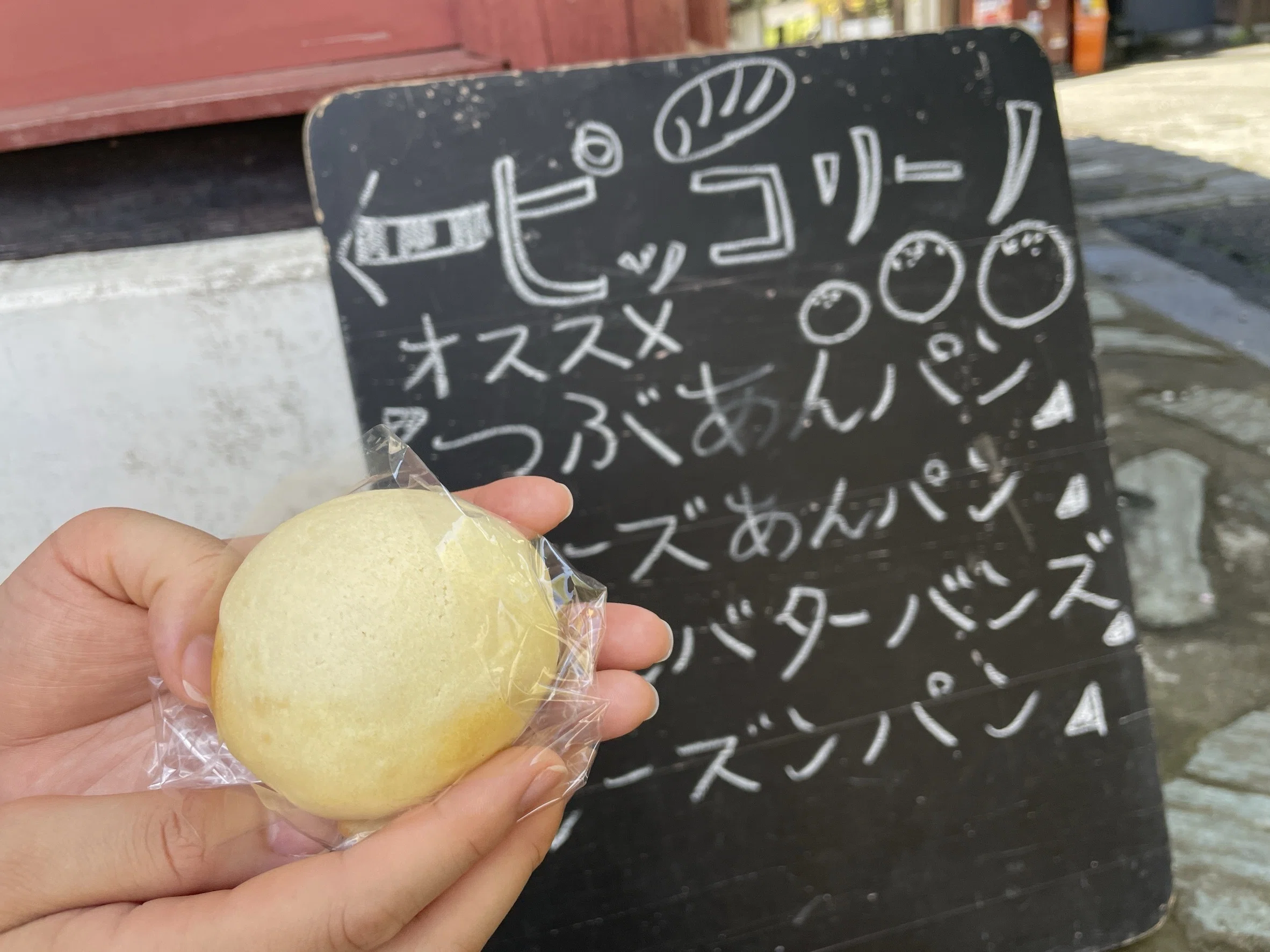 ぐんまの鉄道さんぽ】上信電鉄沿線歩き①（高崎駅〜吉井駅）｜望月優衣