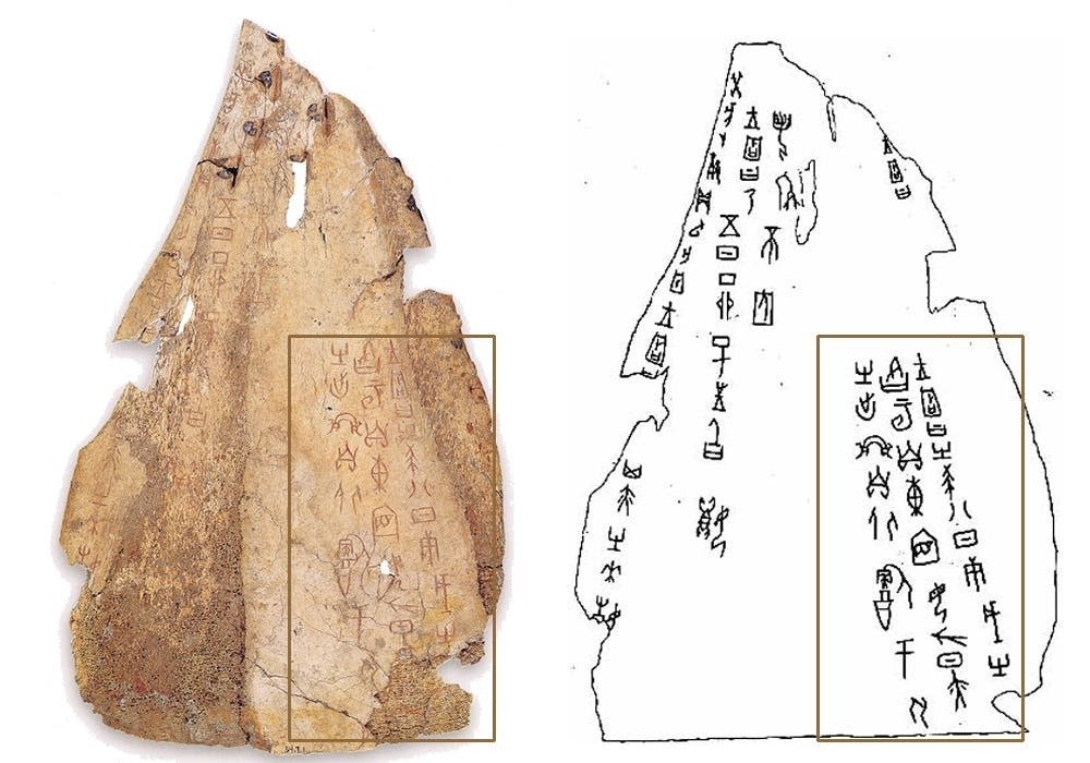 龍がいた時代：古代の中国「殷（いん）」の甲骨文｜東京雑戯團