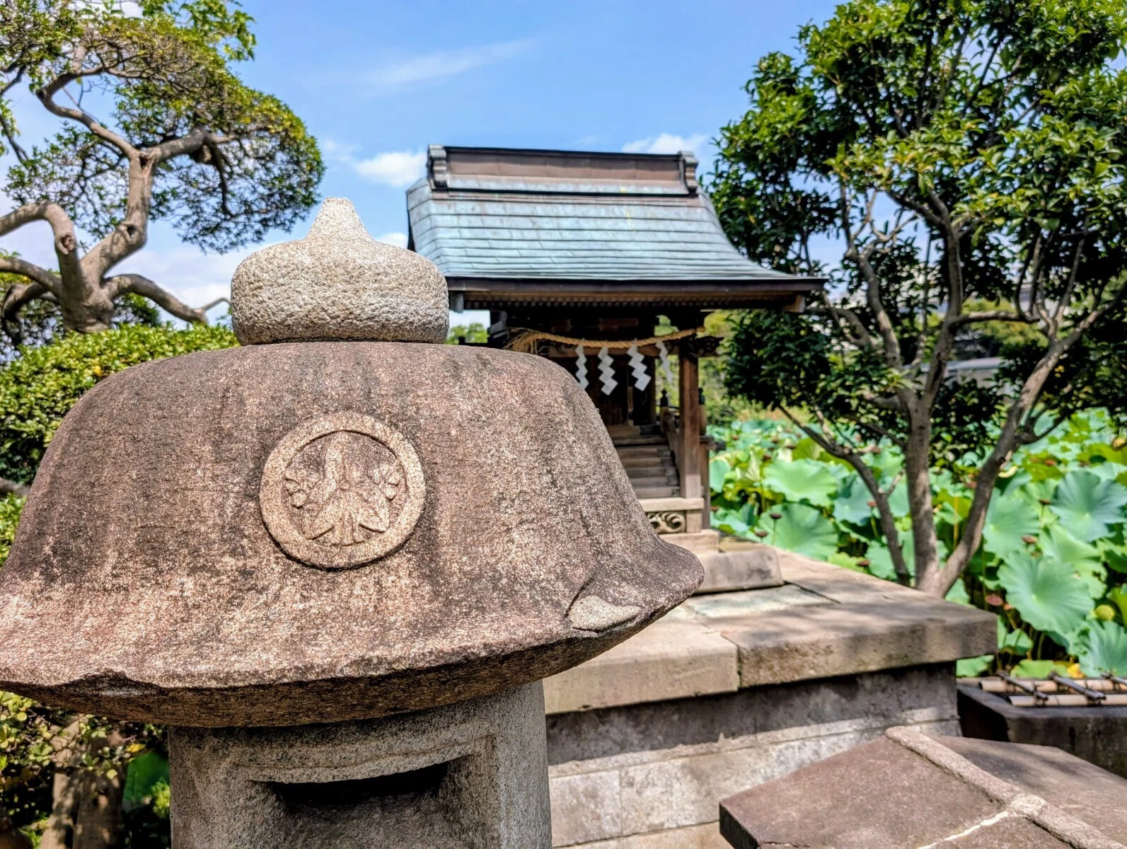 あらゆる願いが叶うパワースポット✨東京都台東区上野の不忍池の巳の日