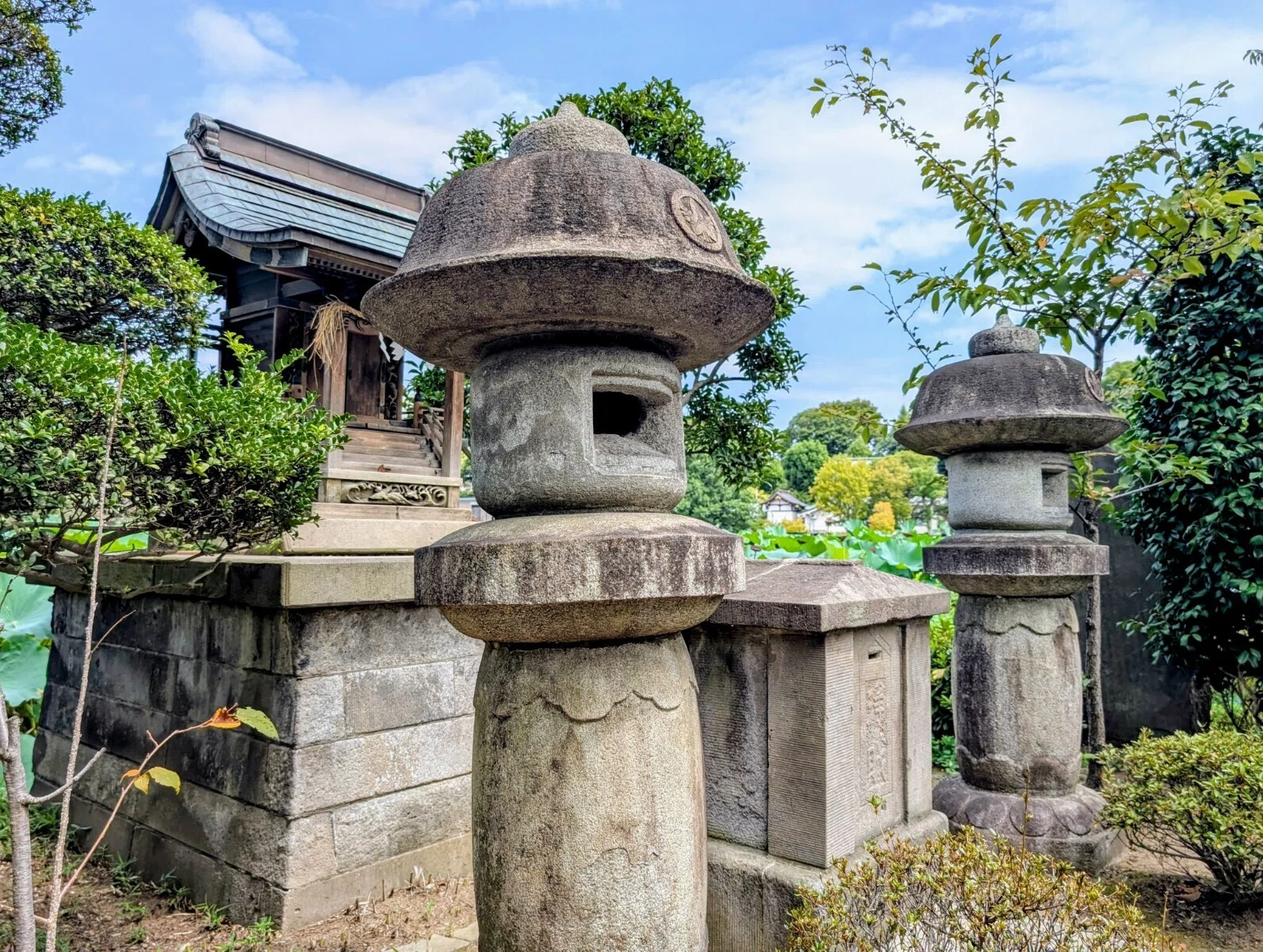あらゆる願いが叶うパワースポット✨東京都台東区上野の不忍池の巳の日