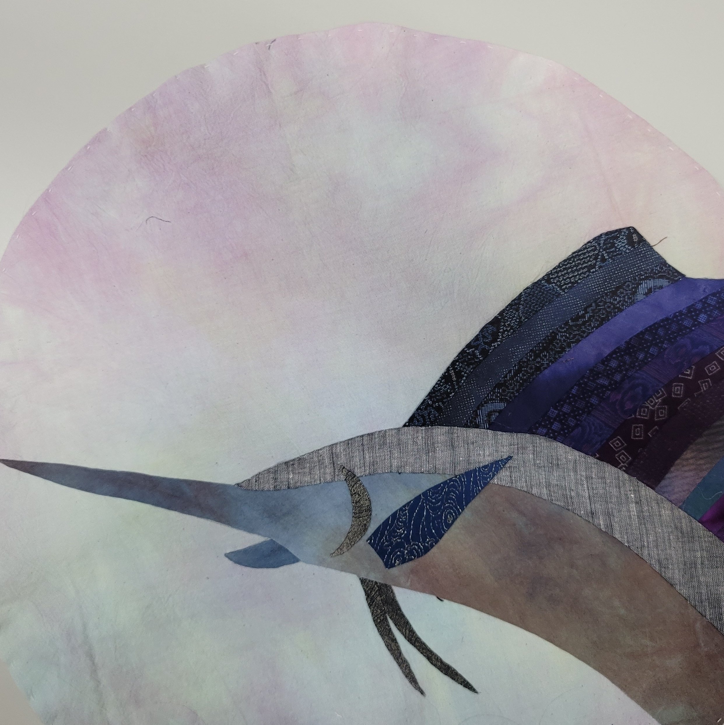 バショウカジキの飼育？！」水族館の進化｜Atsushi Aragane